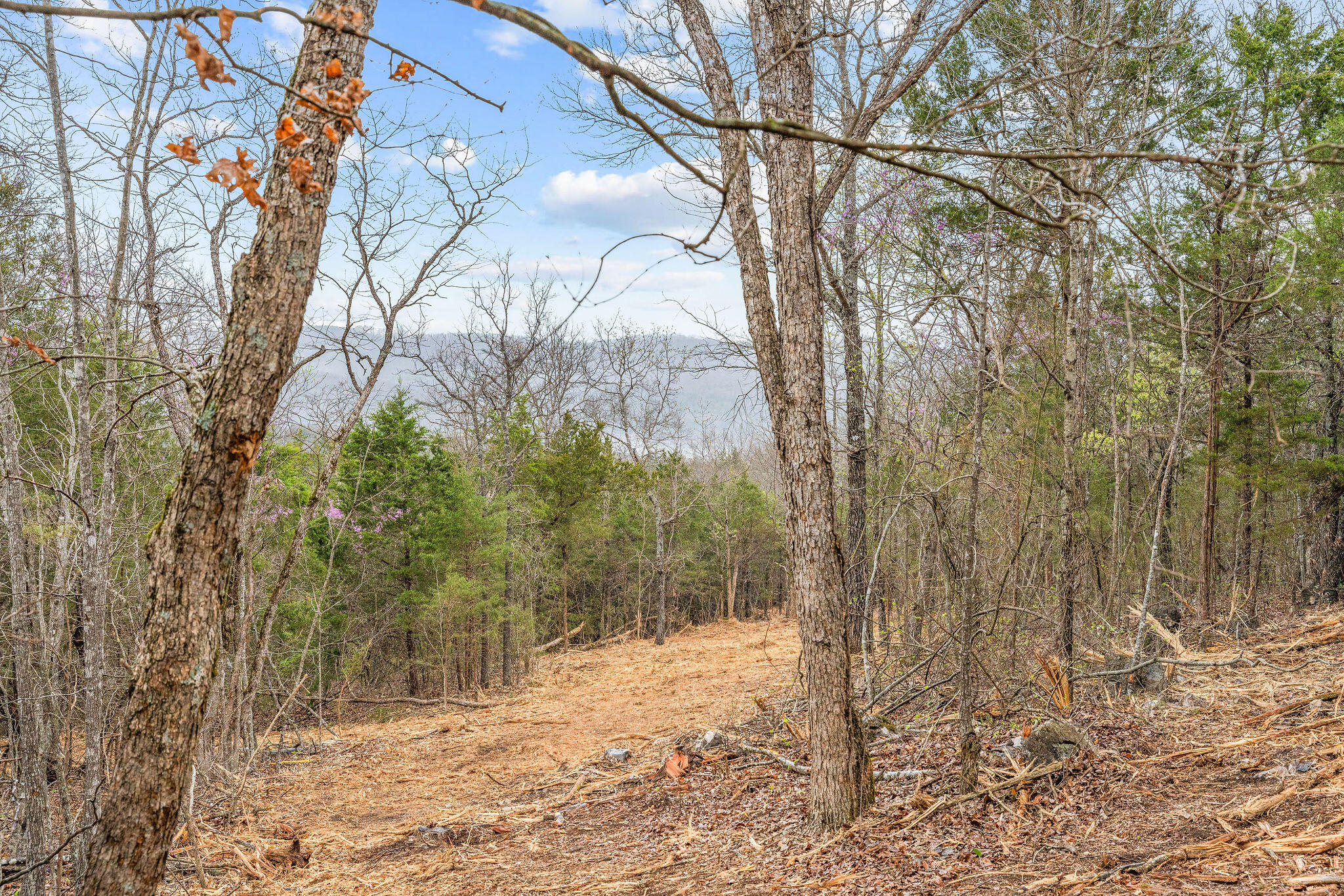 Tbd Tract2 Woodcliff Road/yy-1a Property Photo 9