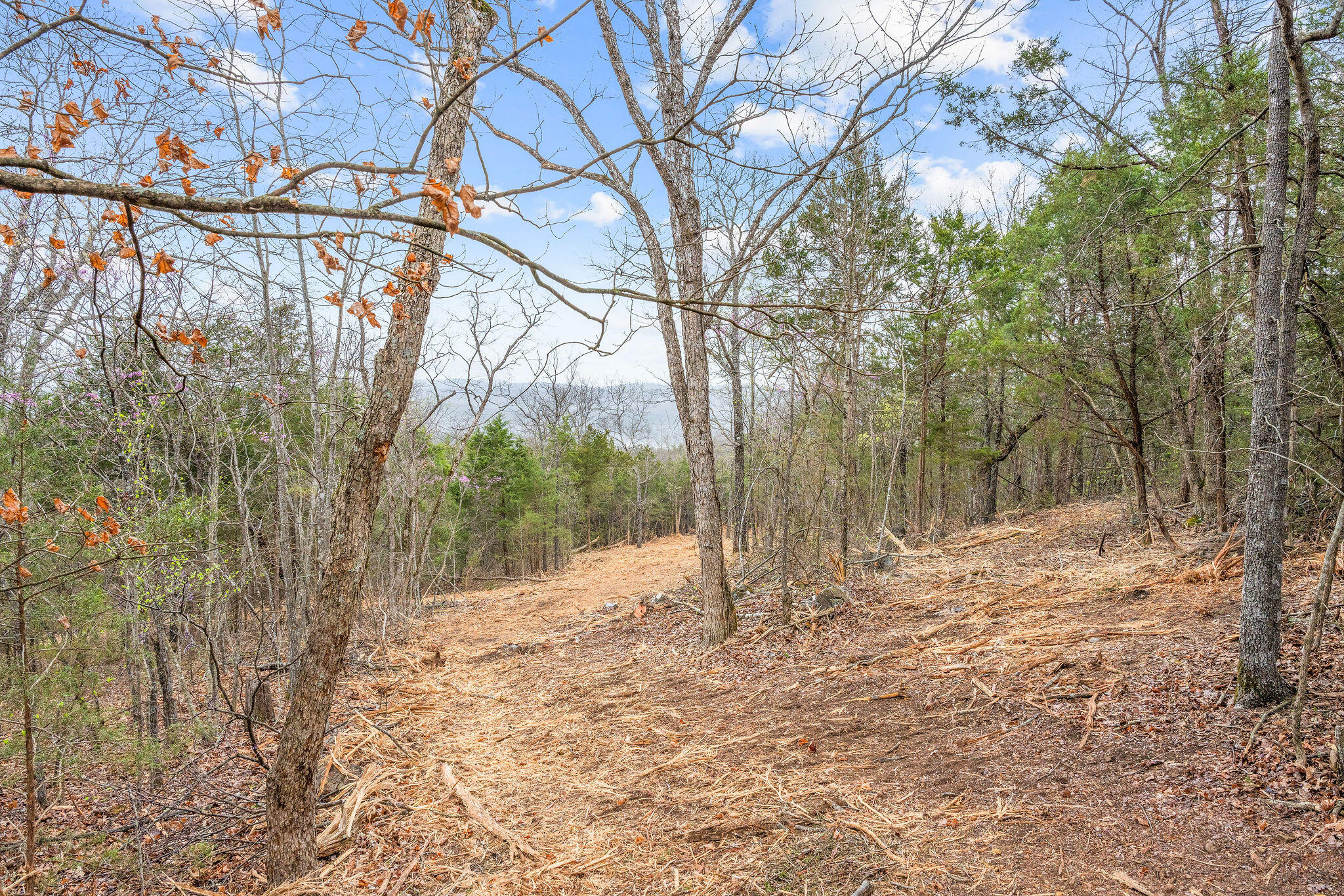 Tbd Tract2 Woodcliff Road/yy-1a Property Photo 10
