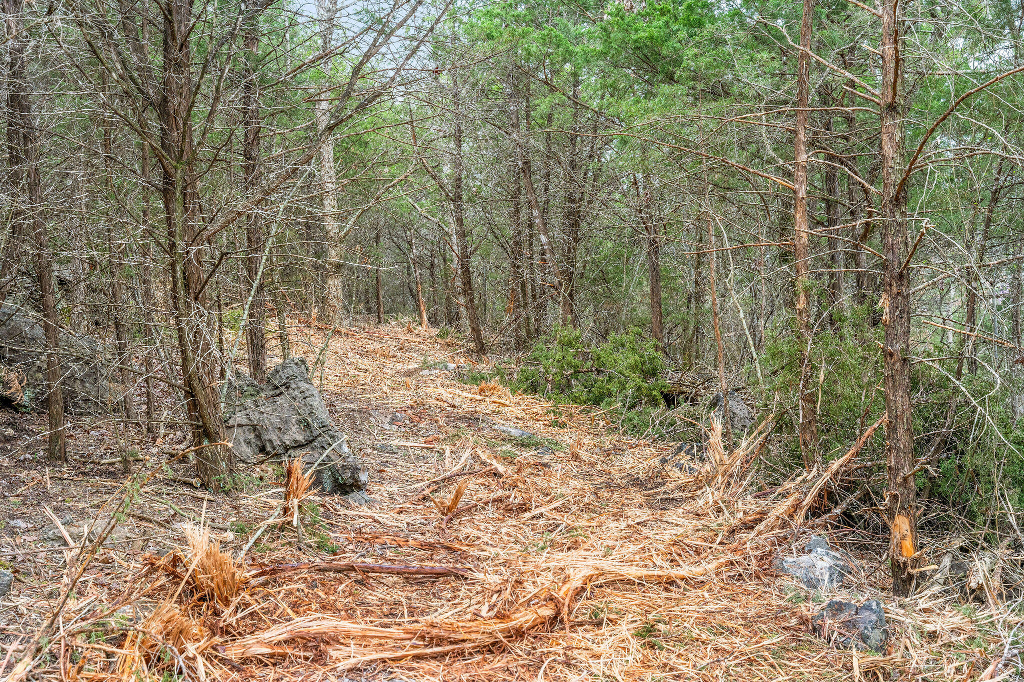 Tbd Tract2 Woodcliff Road/yy-1a Property Photo 11