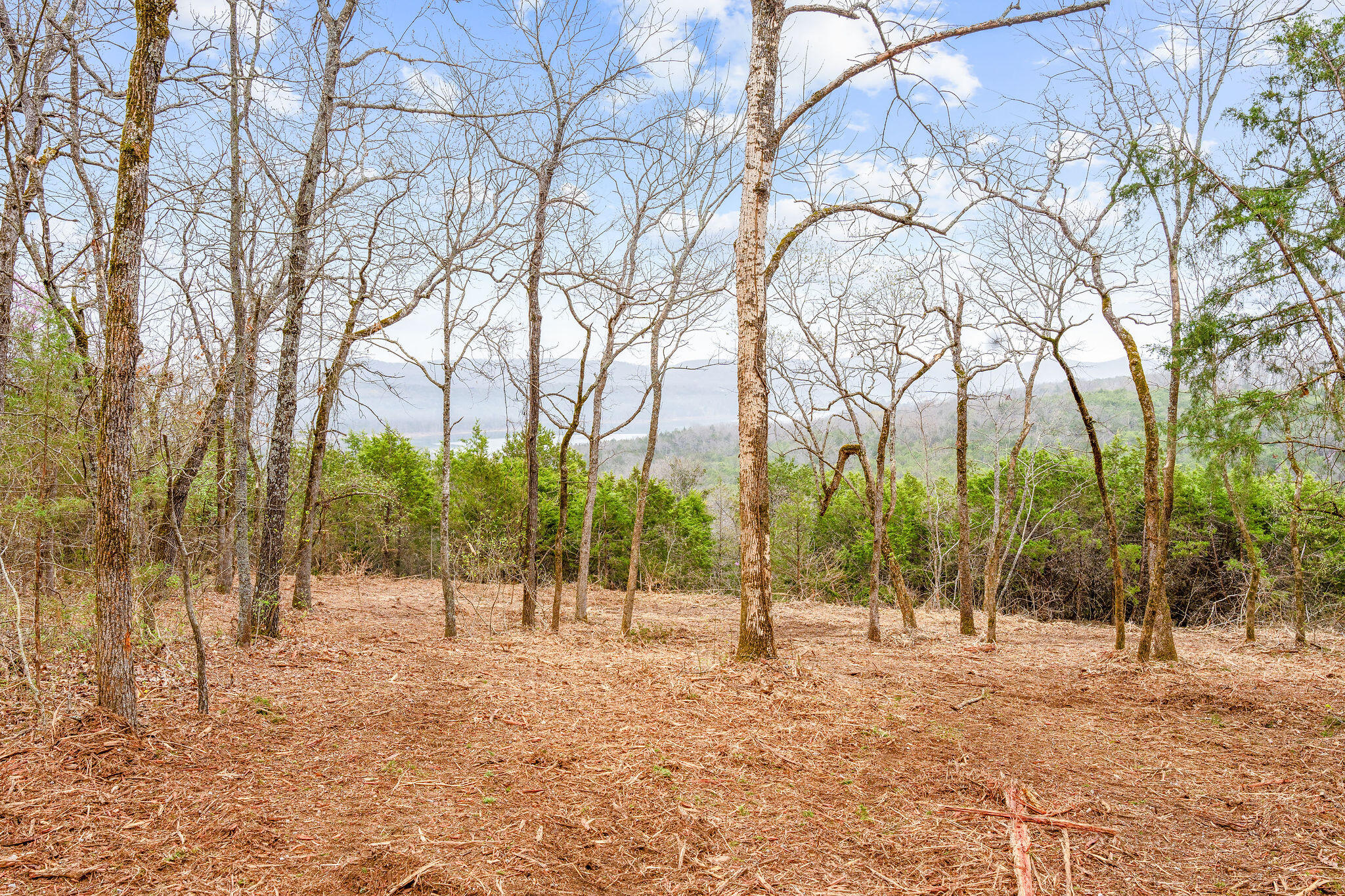 Tbd Tract2 Woodcliff Road/yy-1a Property Photo 13