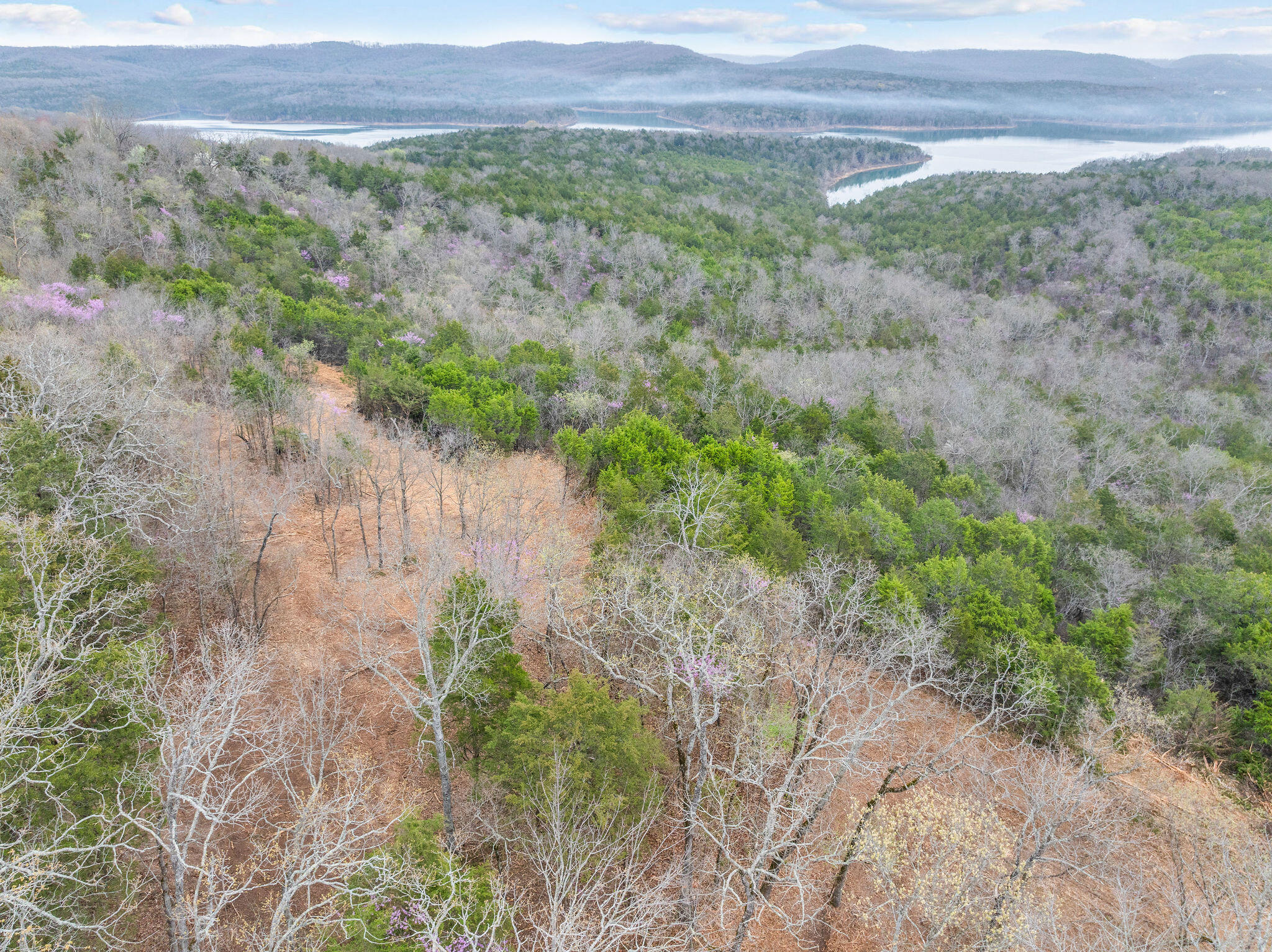 Tbd Tract2 Woodcliff Road/yy-1a Property Photo 19