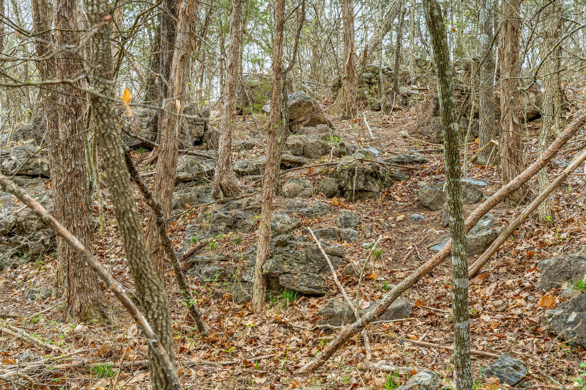 Tbd Tract2 Woodcliff Road/yy-1a Property Photo 31