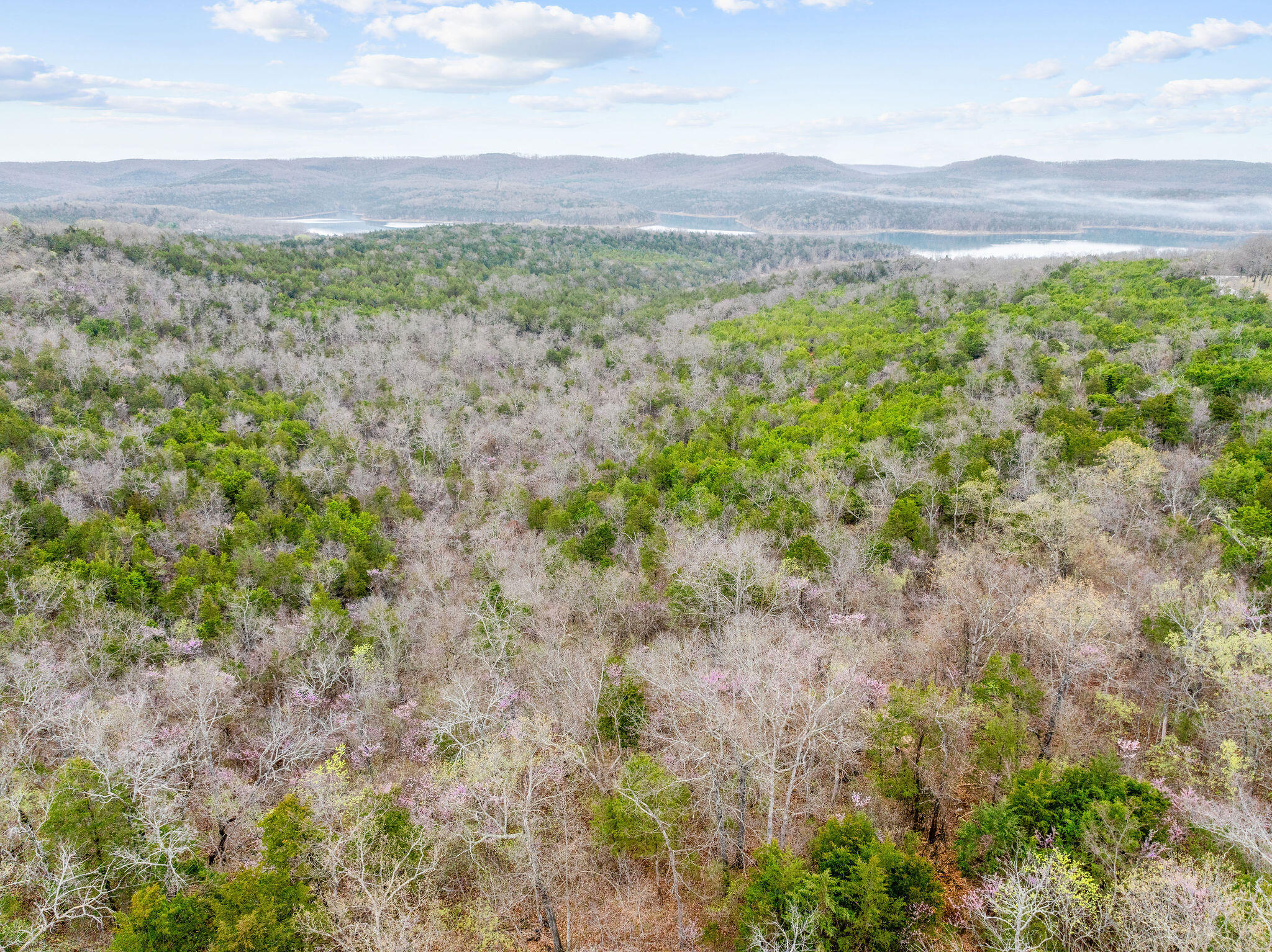 Tbd Tract2 Woodcliff Road/yy-1a Property Photo 37