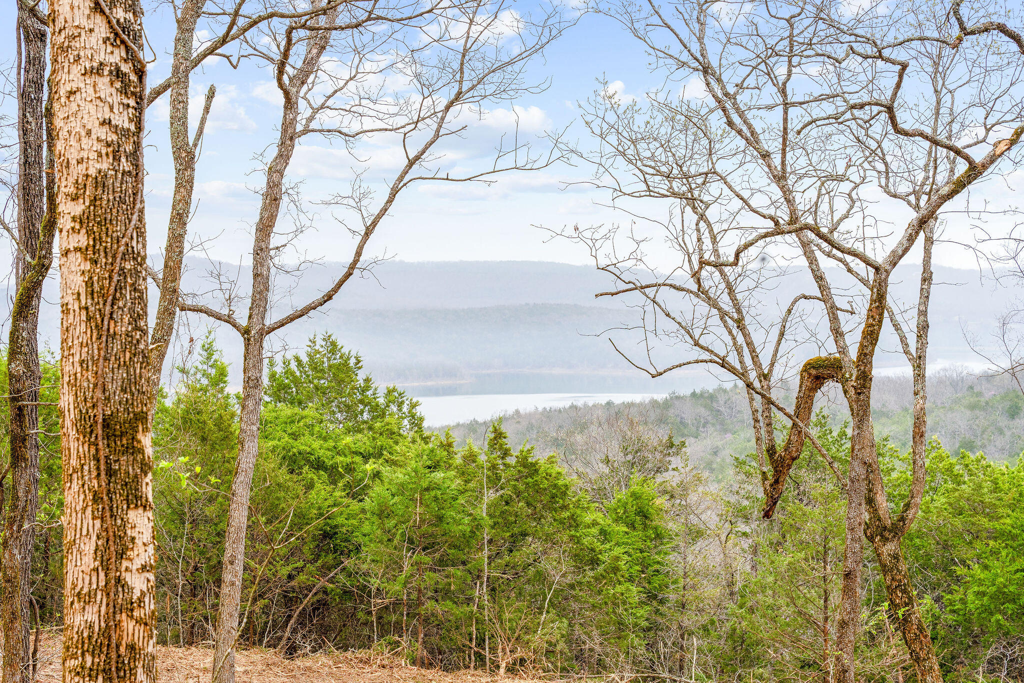 Tbd Tract2 Woodcliff Road/yy-1a Property Photo 45