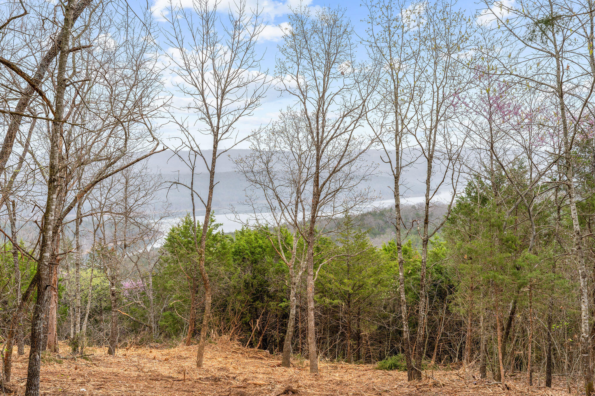 Tbd Tract3 Woodcliff Road/yy-1a Property Photo 11