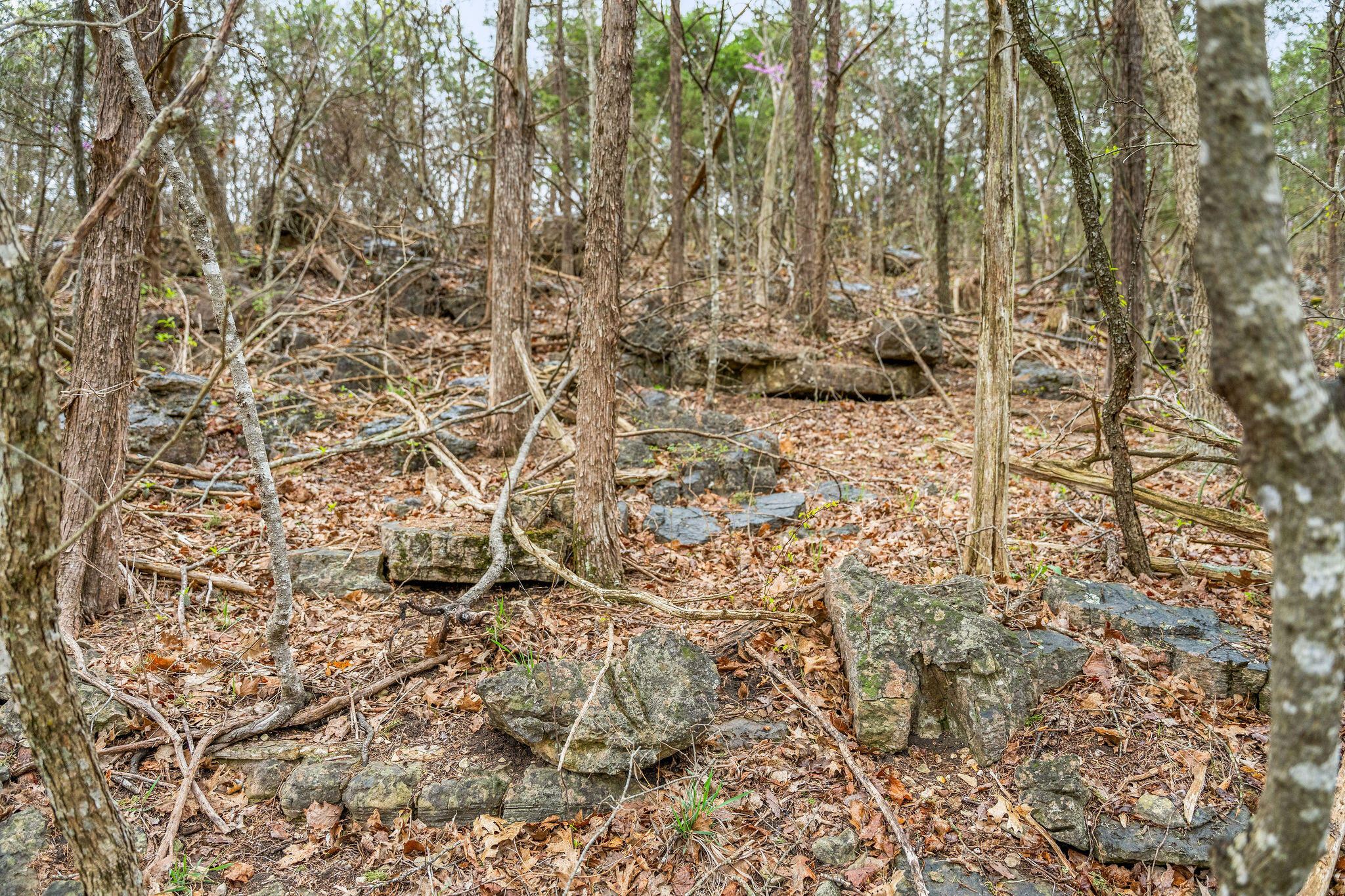 Tbd Tract3 Woodcliff Road/yy-1a Property Photo 34
