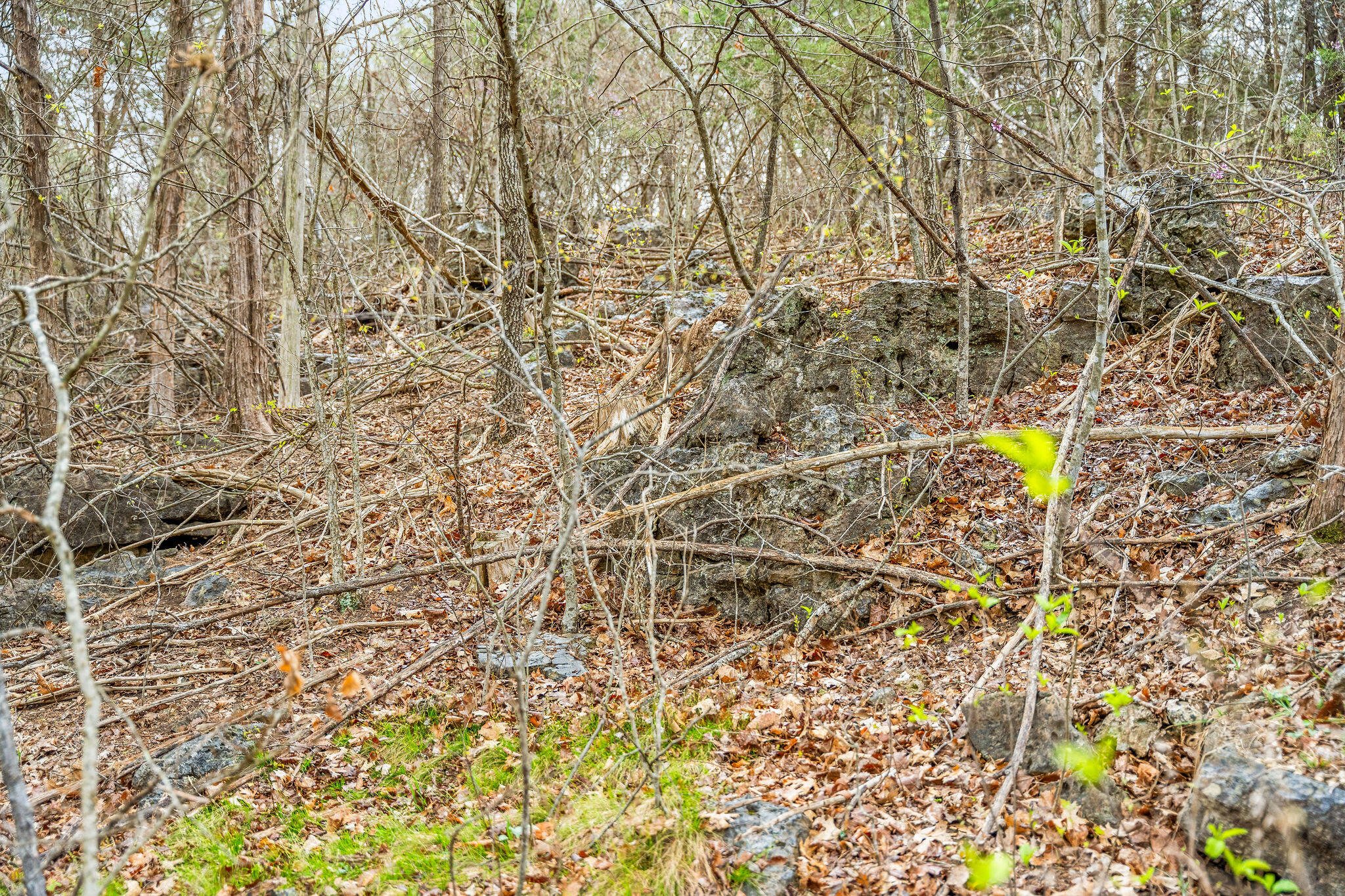 Tbd Tract3 Woodcliff Road/yy-1a Property Photo 36