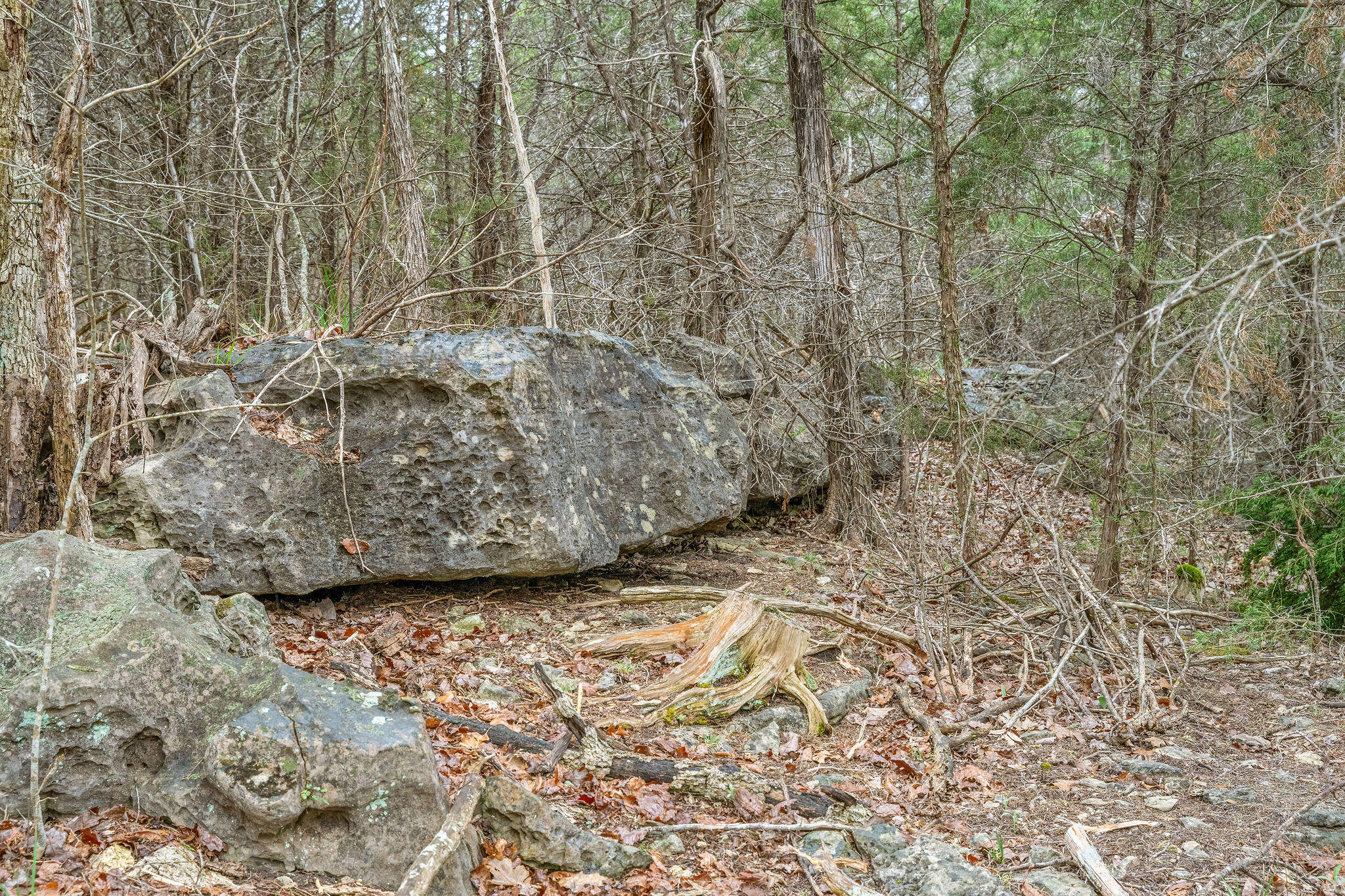 Tbd Tract3 Woodcliff Road/yy-1a Property Photo 39