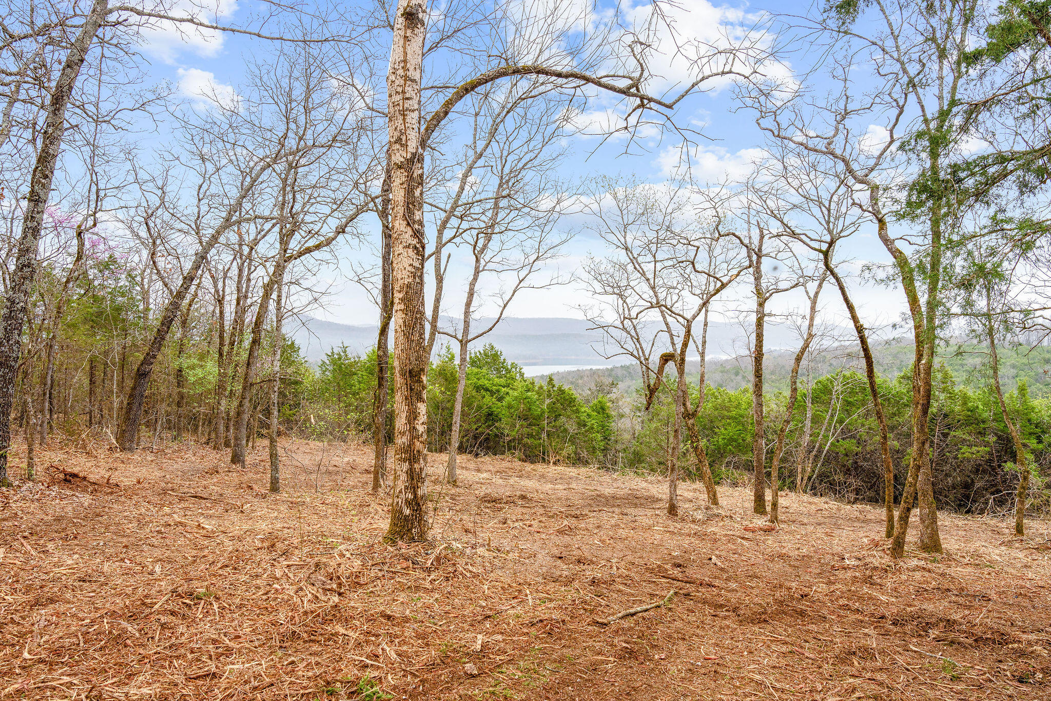 Tbd Tract4 Big Bay Road Property Photo 9