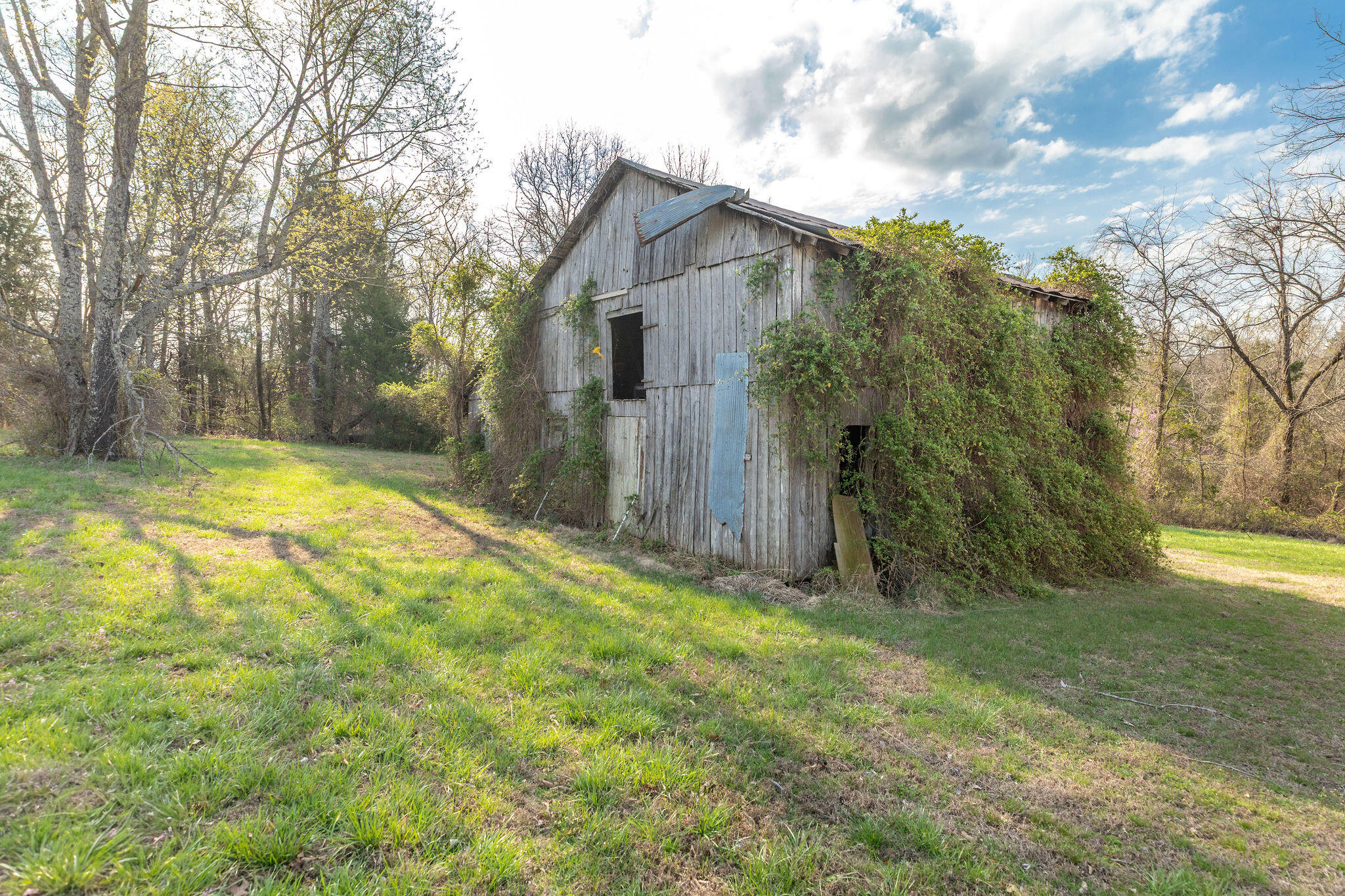 3160 Highway 160 Property Photo 17