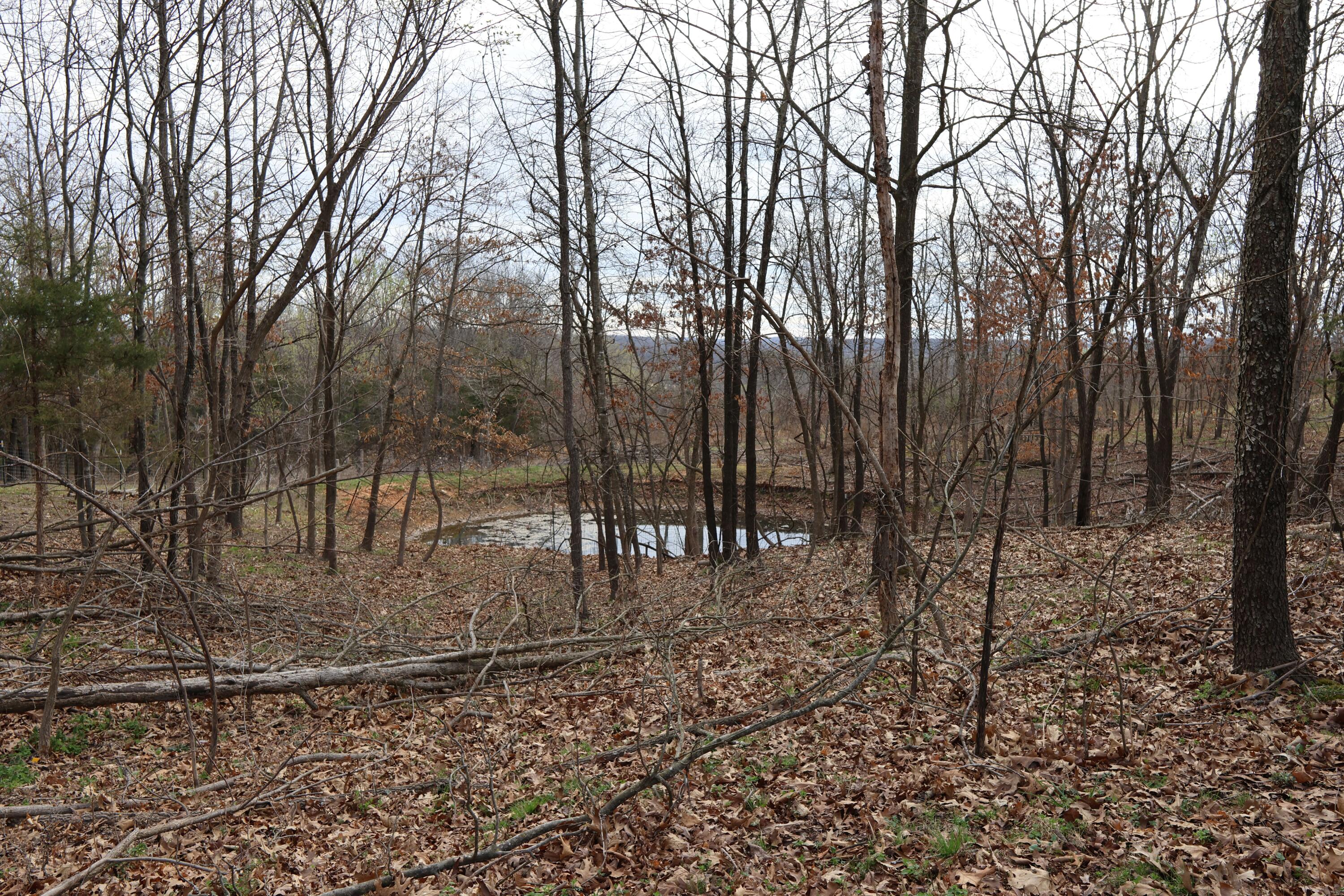 1348 Black Horse Road Property Photo 7