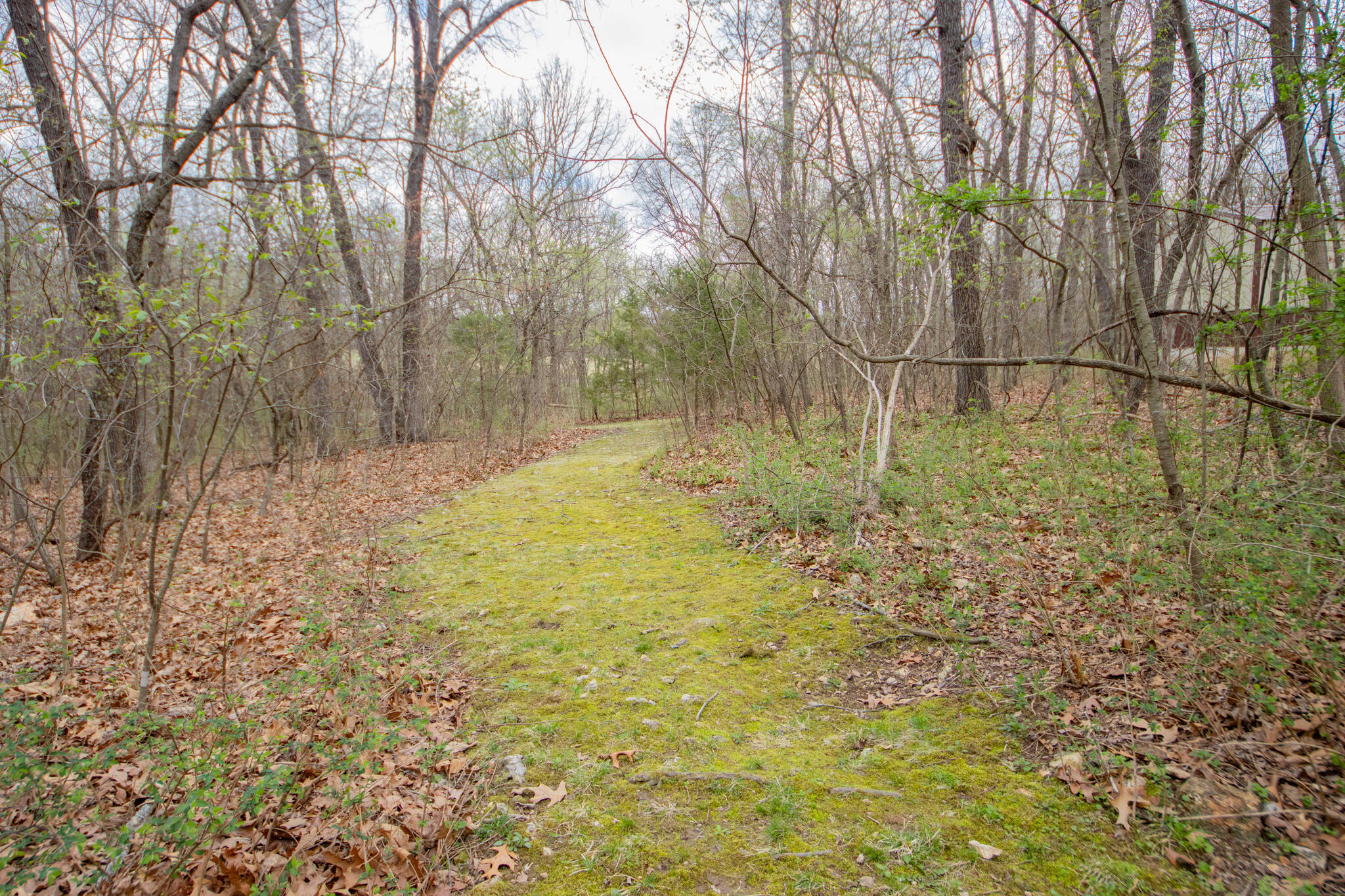 21247 State Hwy 97 Property Photo 12