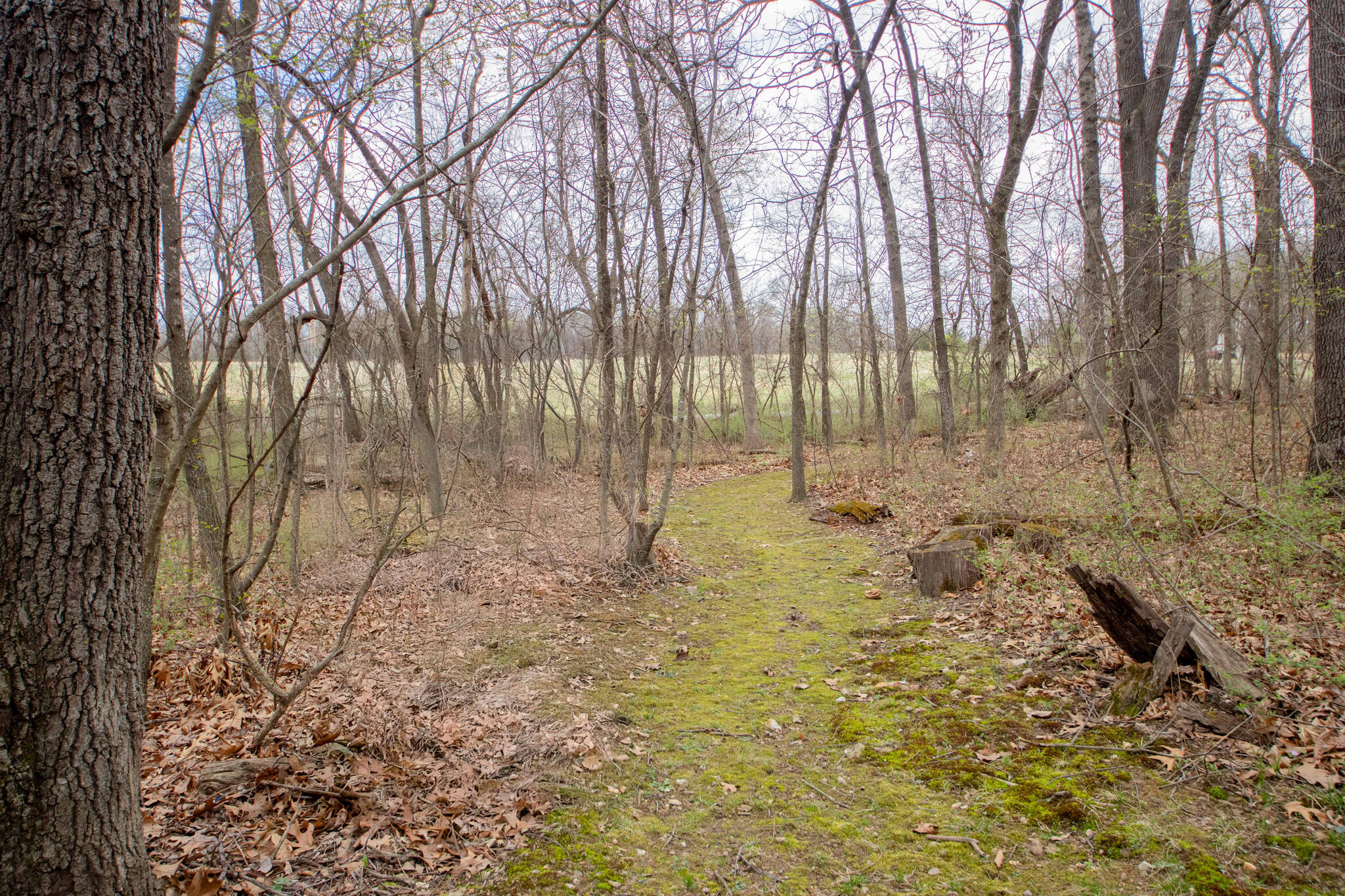 21247 State Hwy 97 Property Photo 13