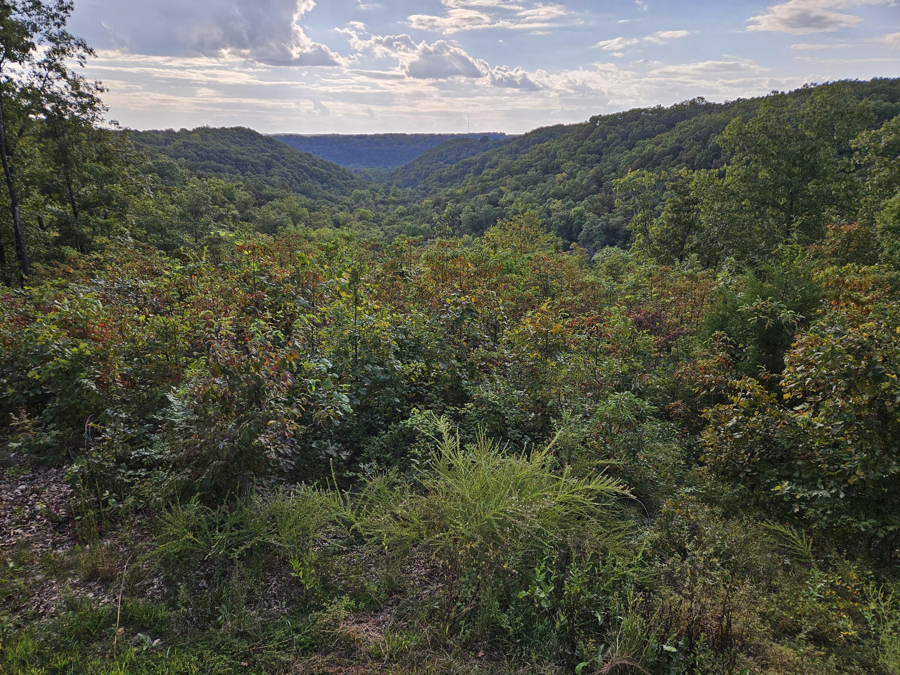 2489 Logan Ridge Road Property Photo 40