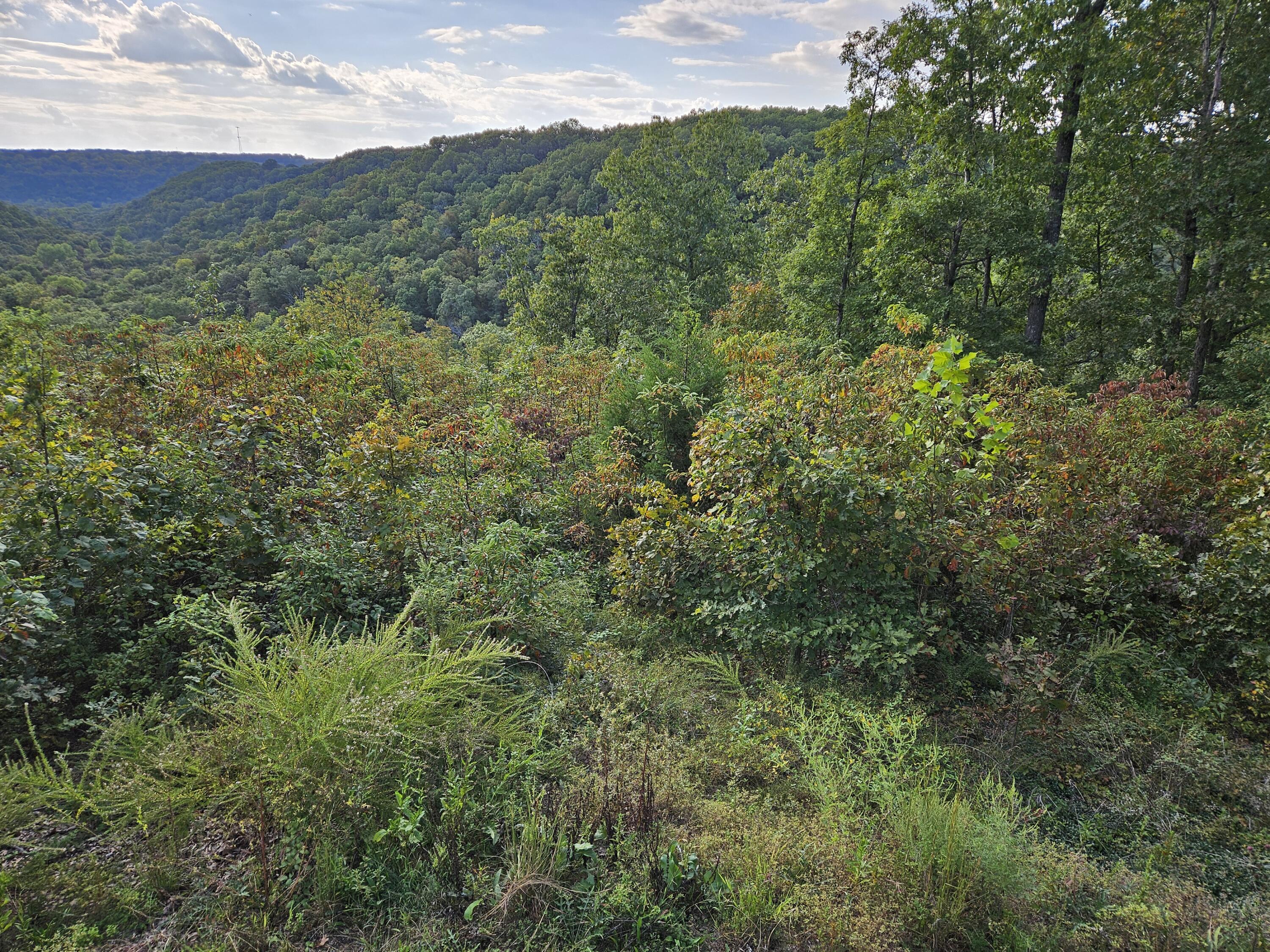 2489 Logan Ridge Road Property Photo 41