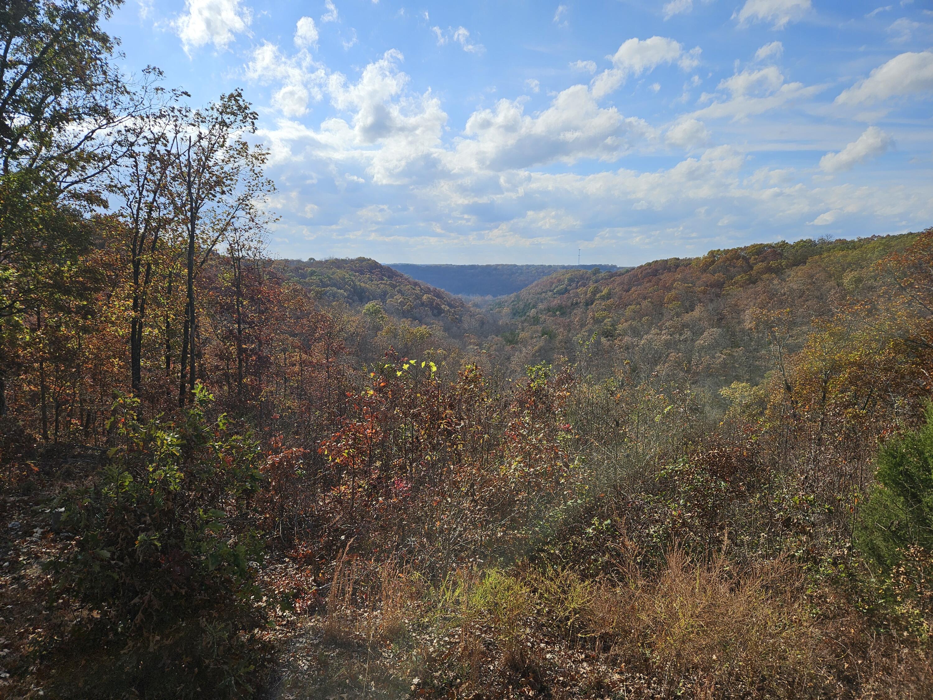 2489 Logan Ridge Road Property Photo 62