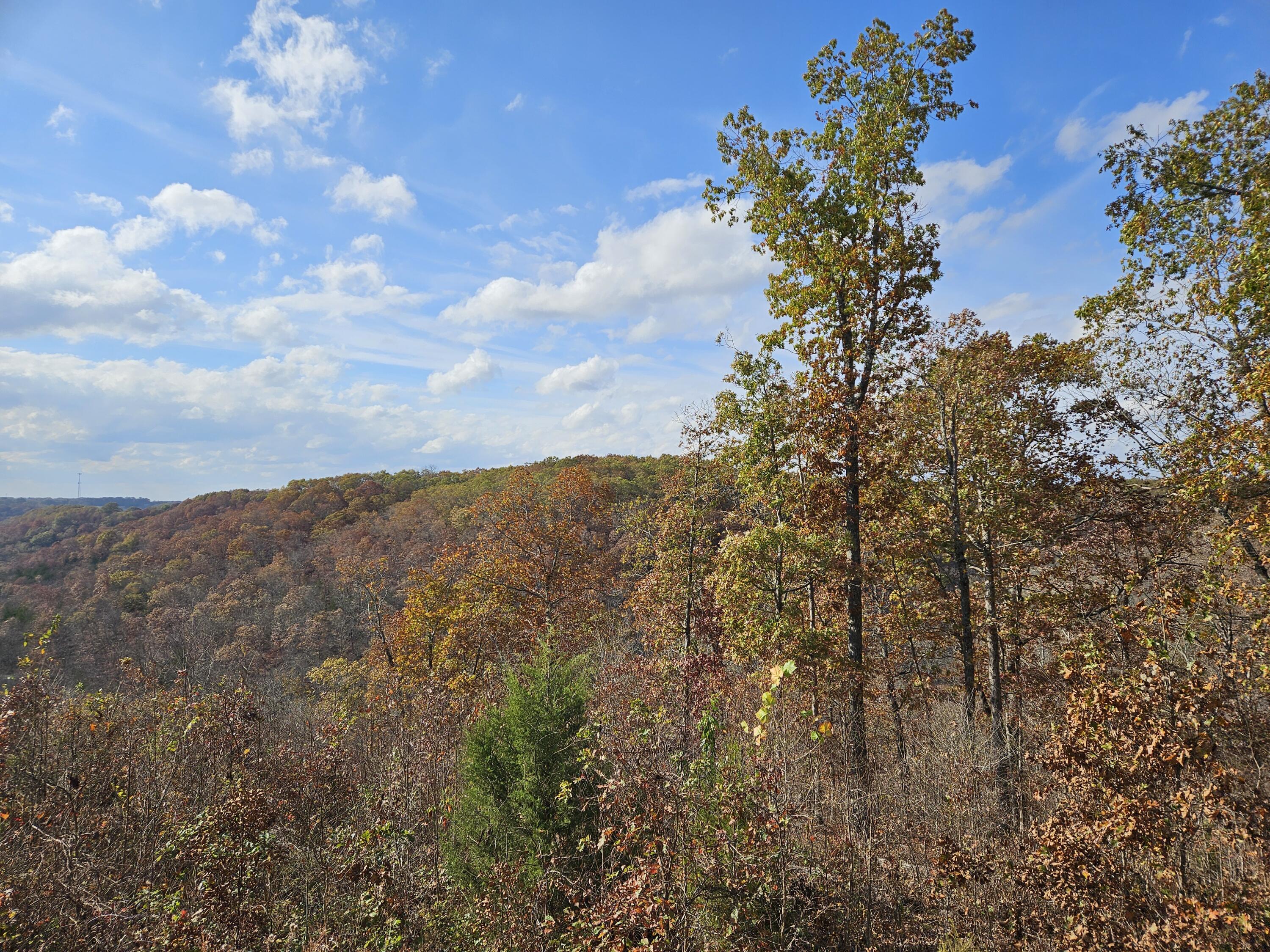 2489 Logan Ridge Road Property Photo 63