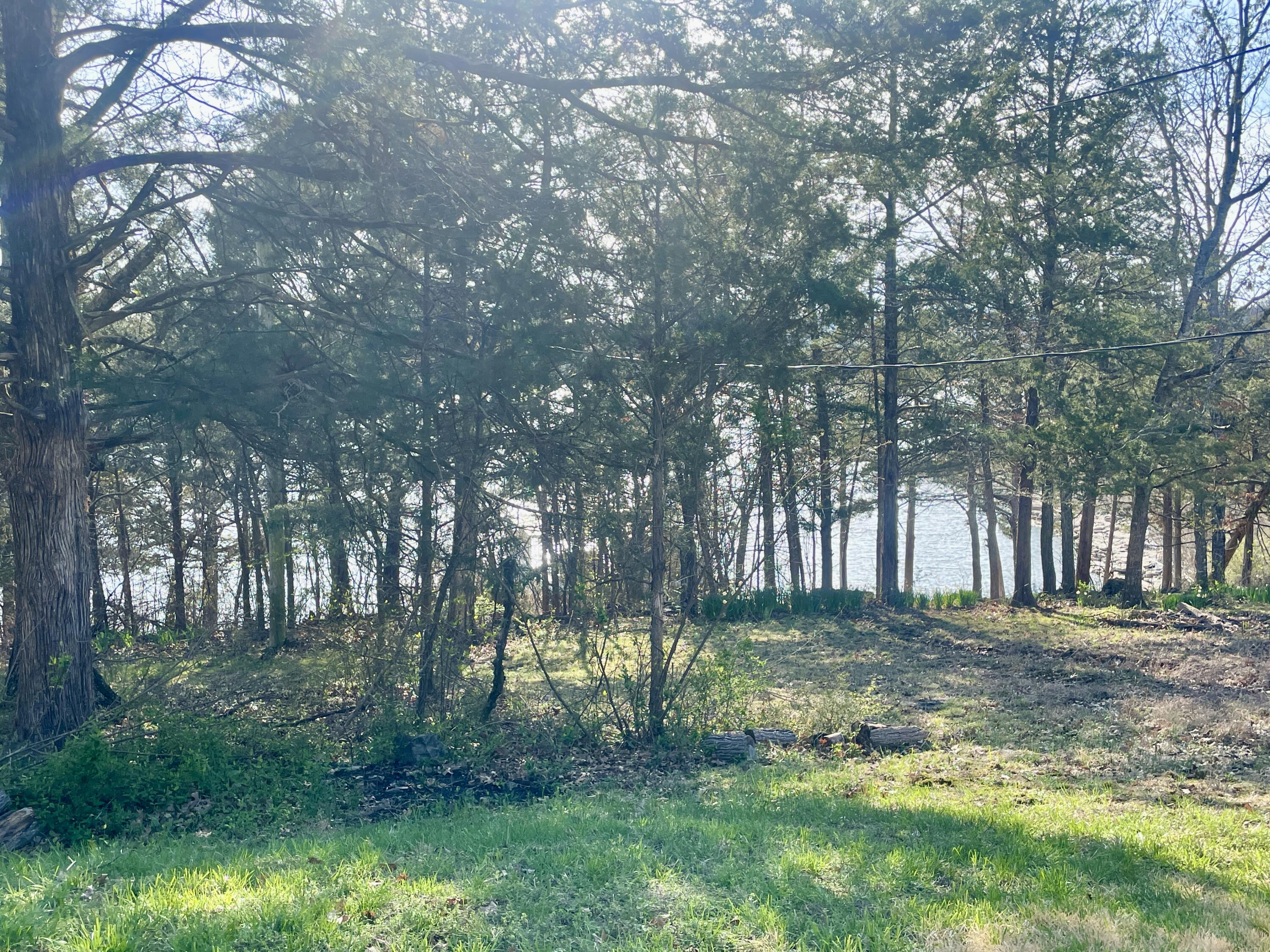 649 Jackson Hollow Road Property Photo 2