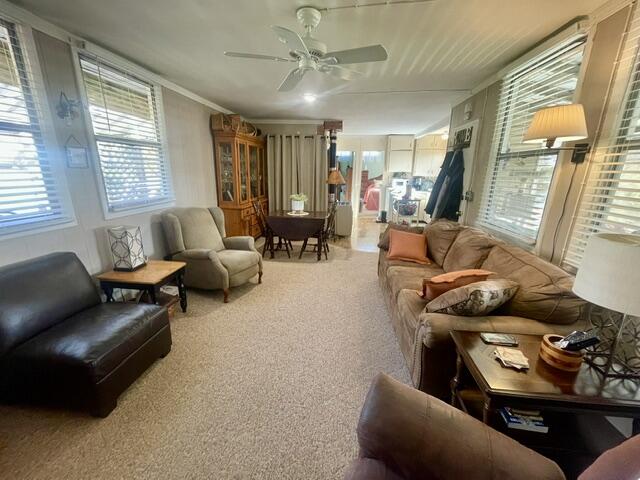 649 Jackson Hollow Road Property Photo 7