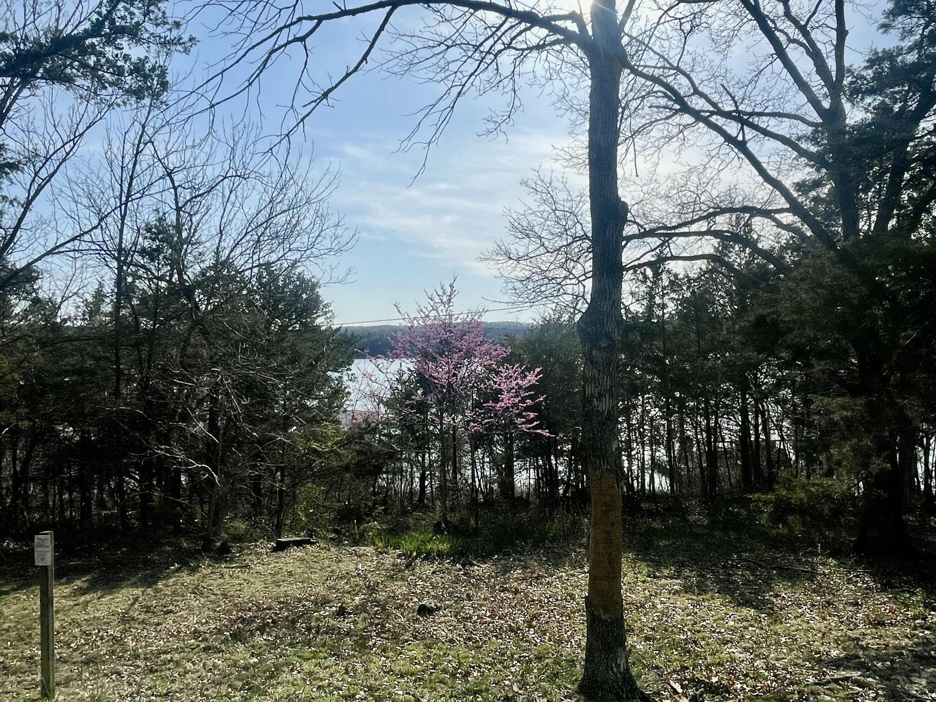 649 Jackson Hollow Road Property Photo 21