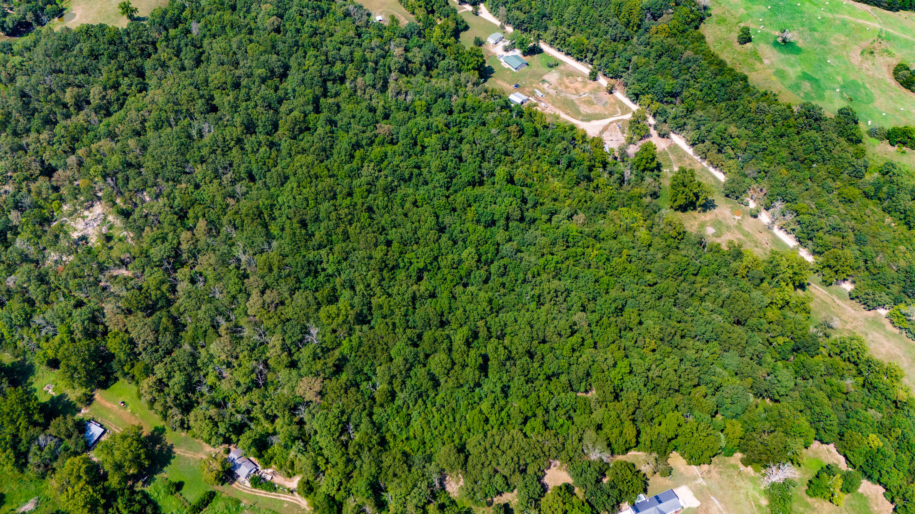 448 & 464 Tick Ridge Road Property Photo 29