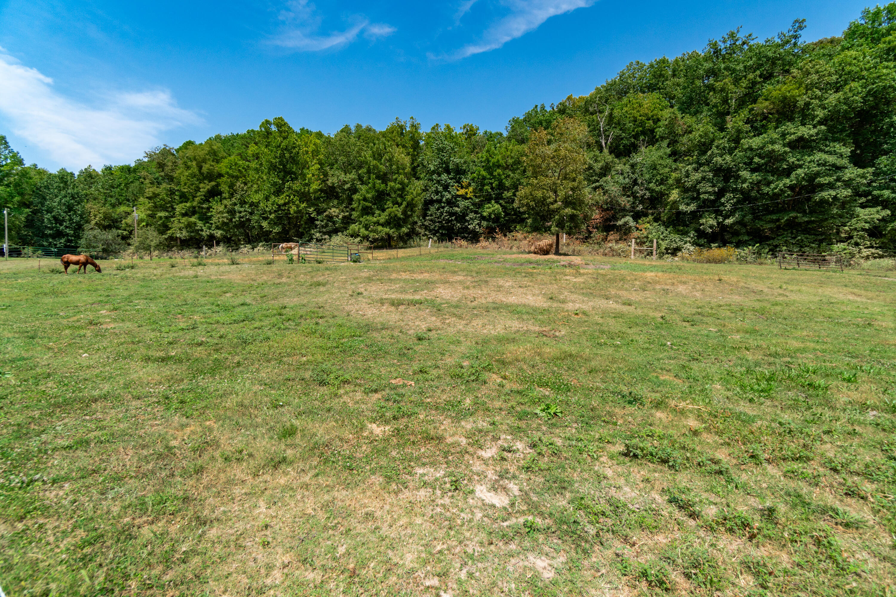 448 & 464 Tick Ridge Road Property Photo 32