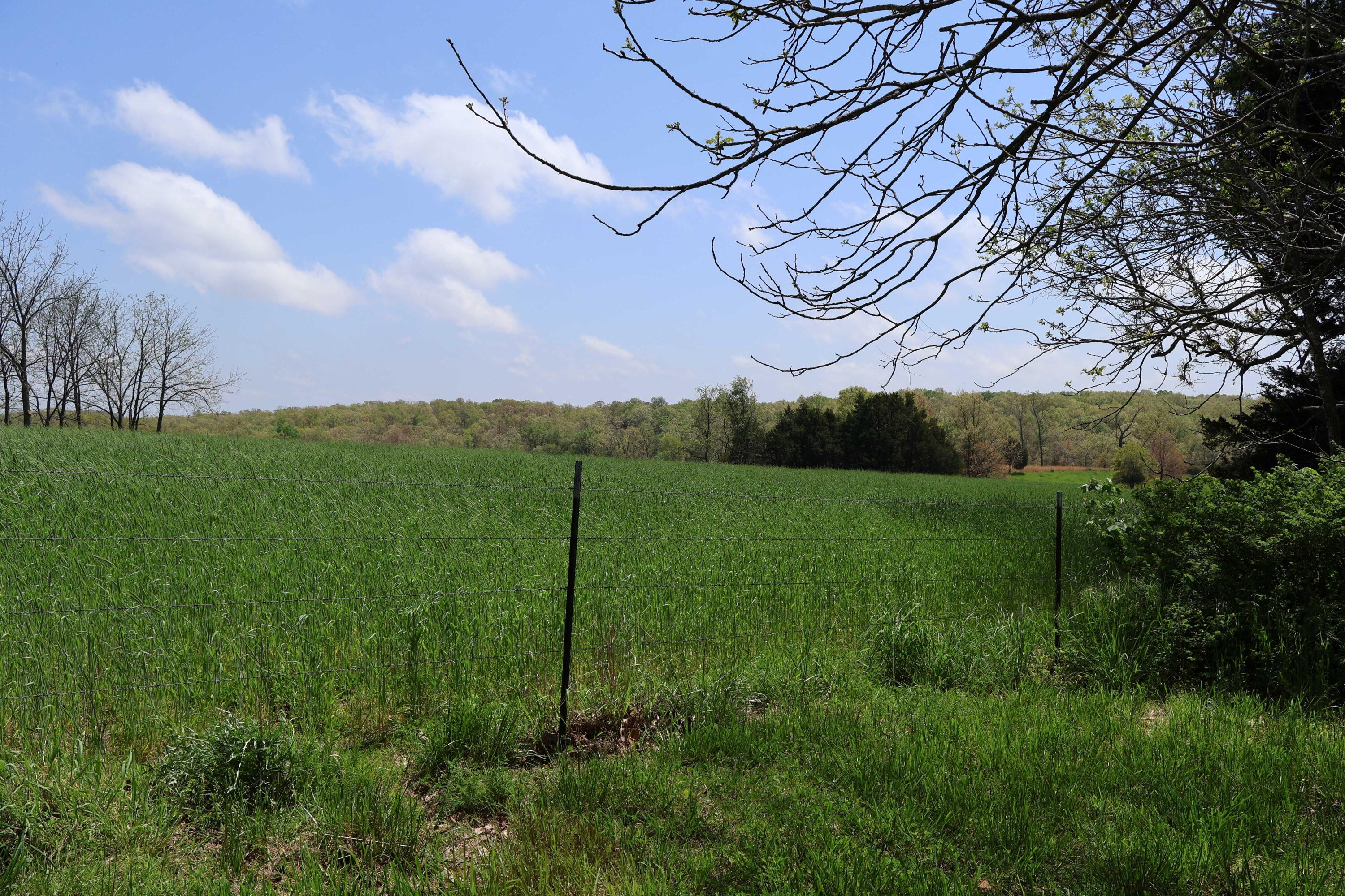 3987 County Road 2350 Property Photo 6