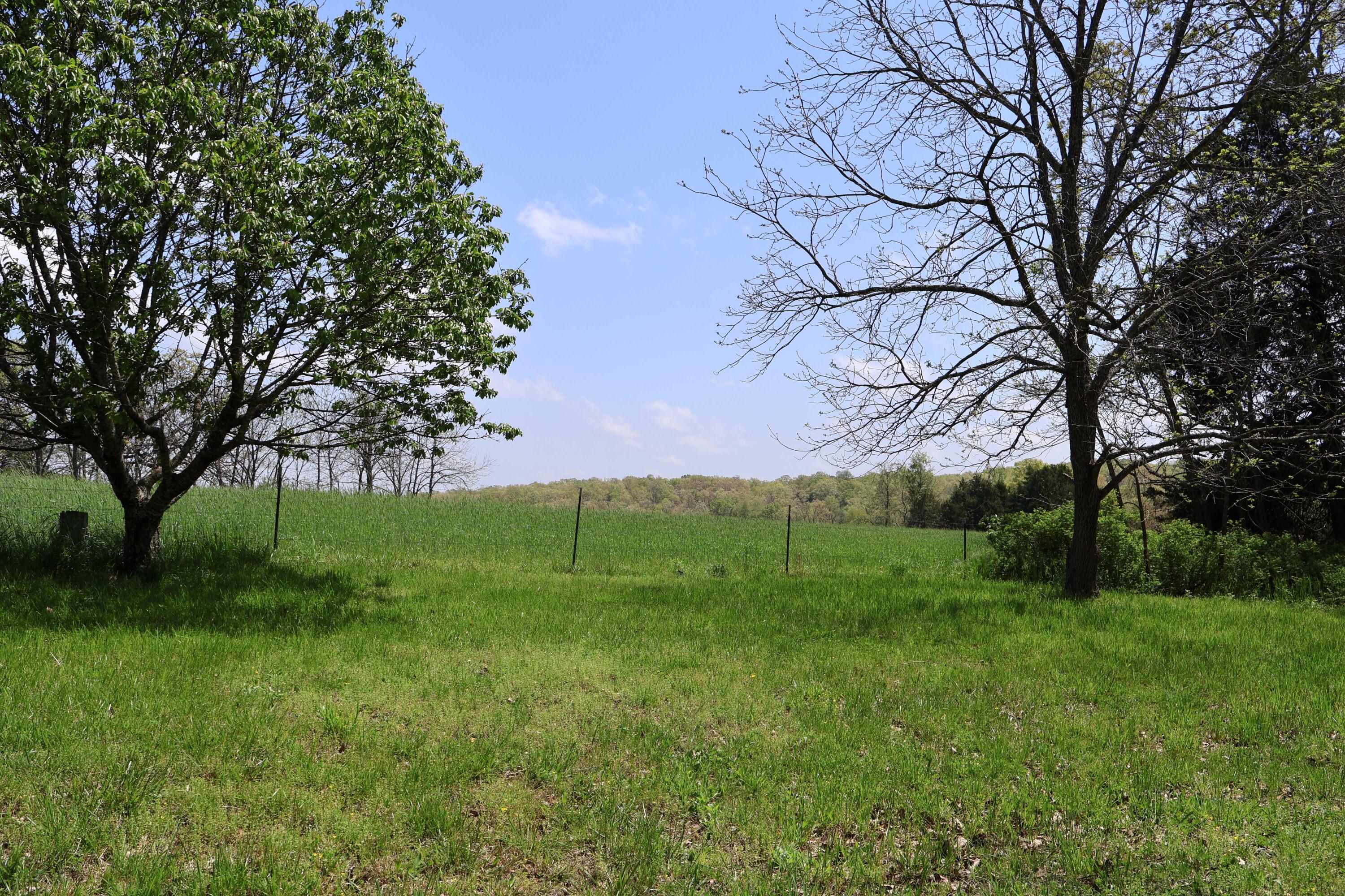 3987 County Road 2350 Property Photo 7