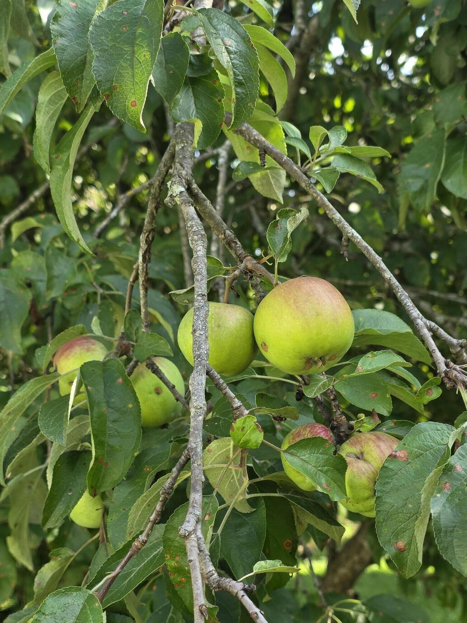 3987 County Road 2350 Property Photo 19