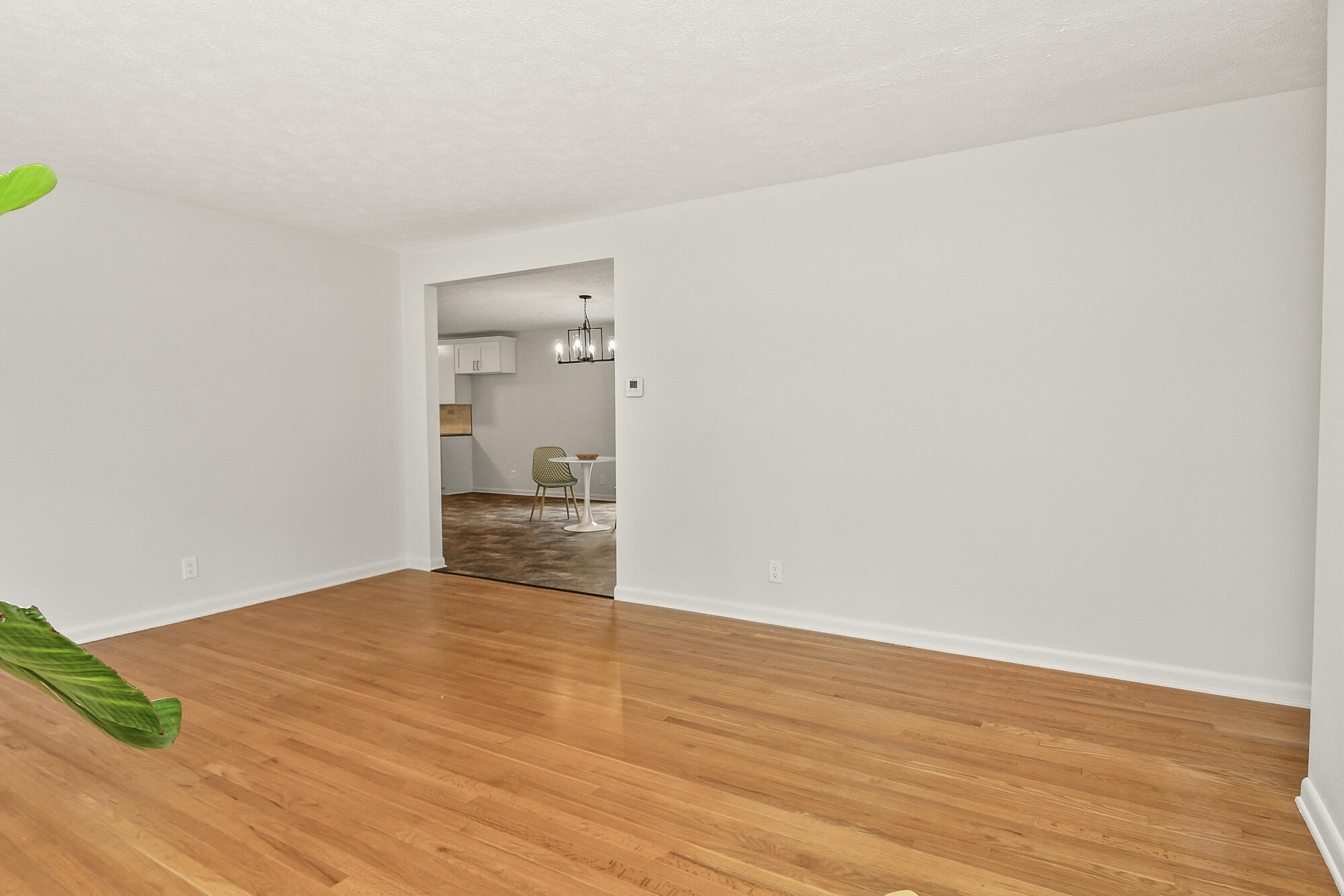 1263 East Woodland Street Property Photo 10