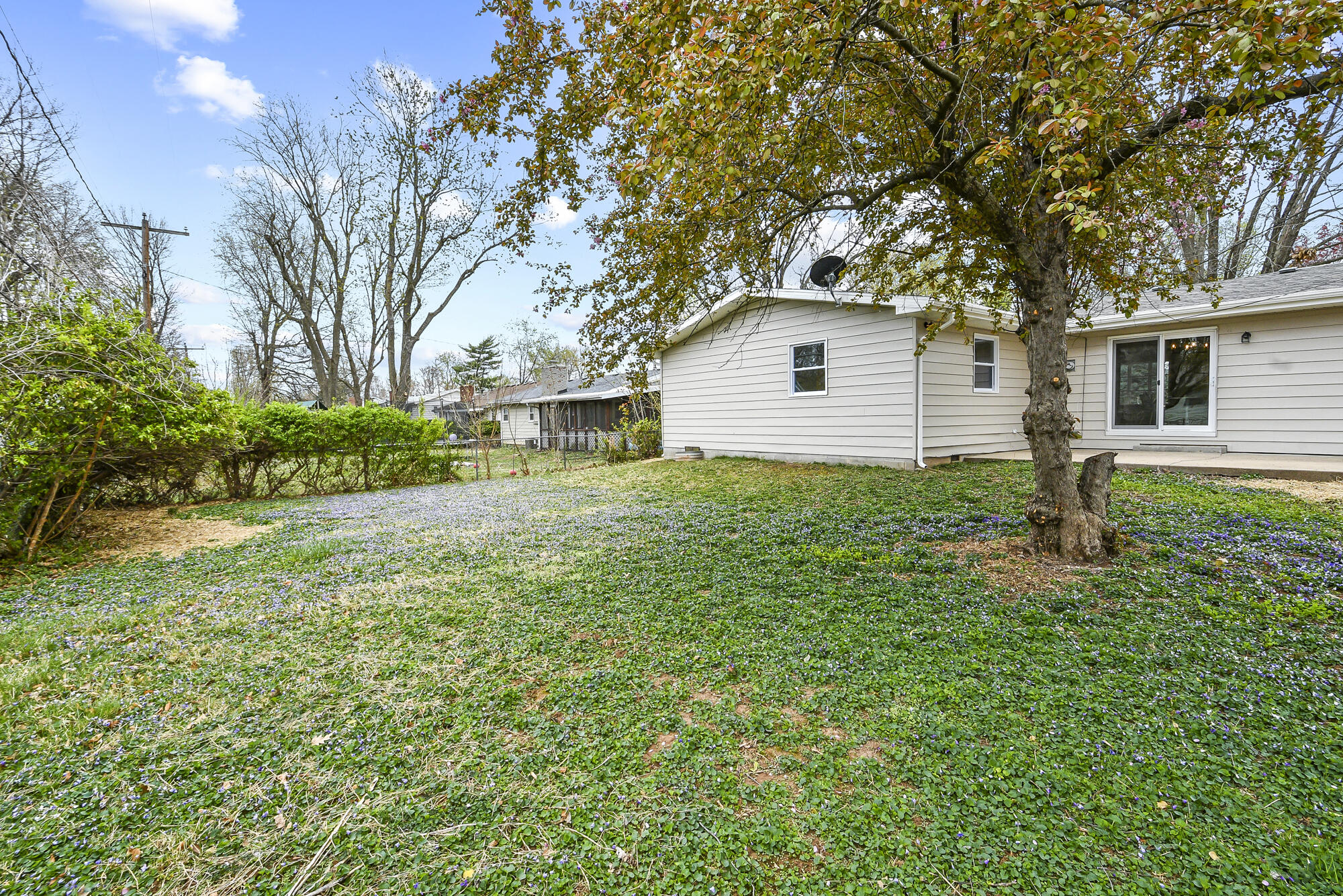 1263 East Woodland Street Property Photo 45