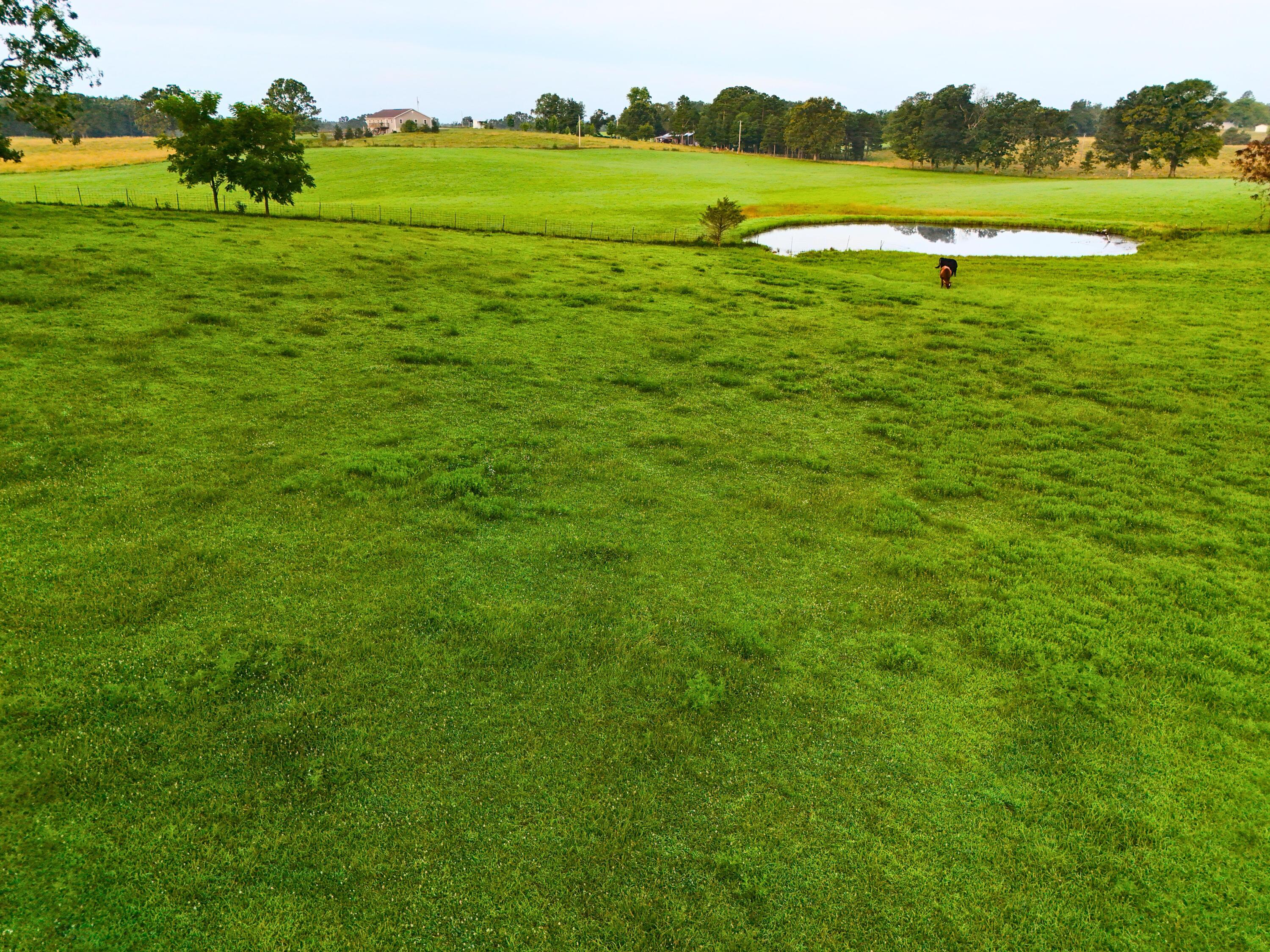 9418 State Route D Property Photo 45