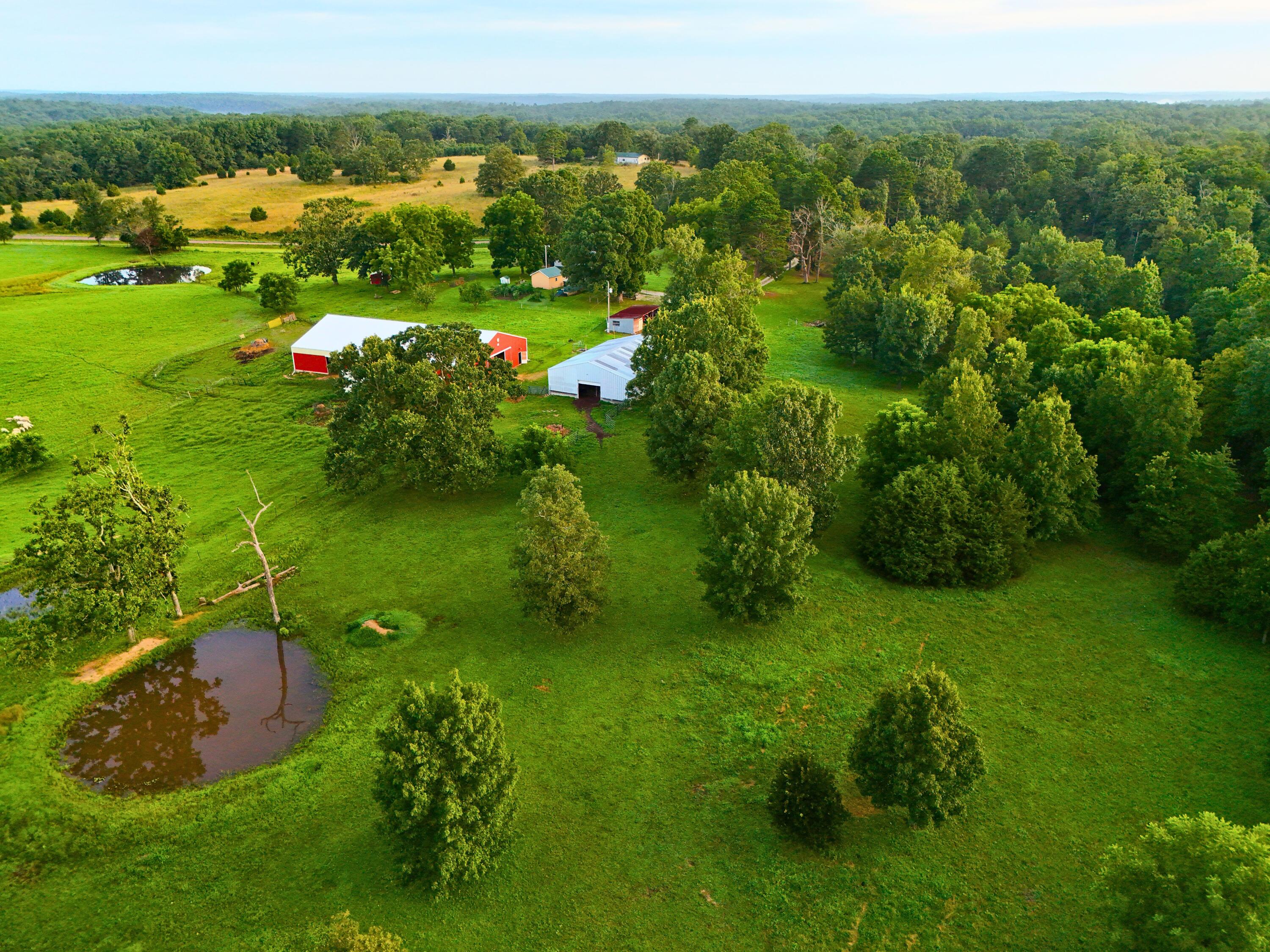 9418 State Route D Property Photo 46