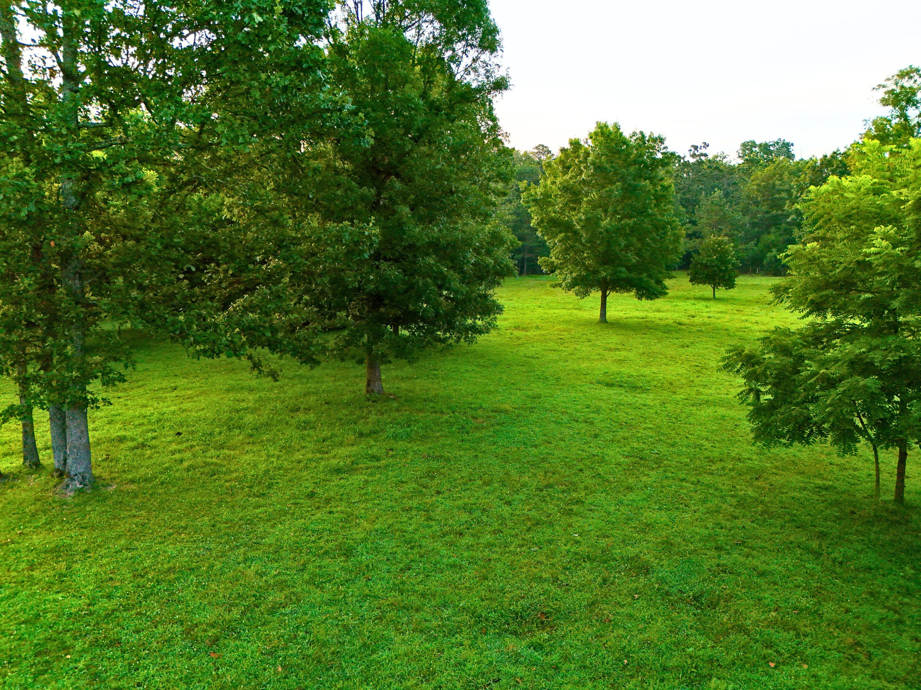 9418 State Route D Property Photo 47