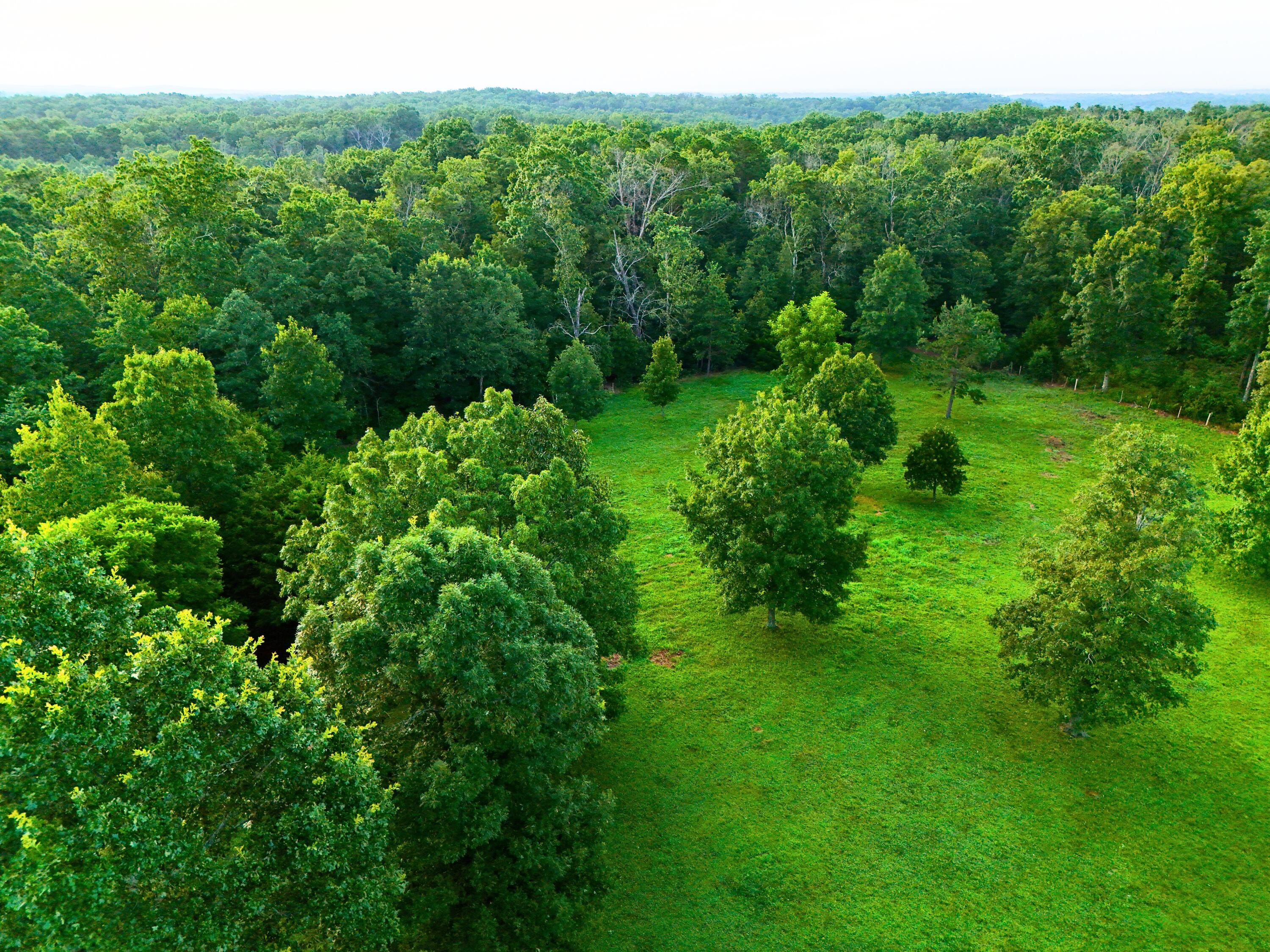 9418 State Route D Property Photo 48