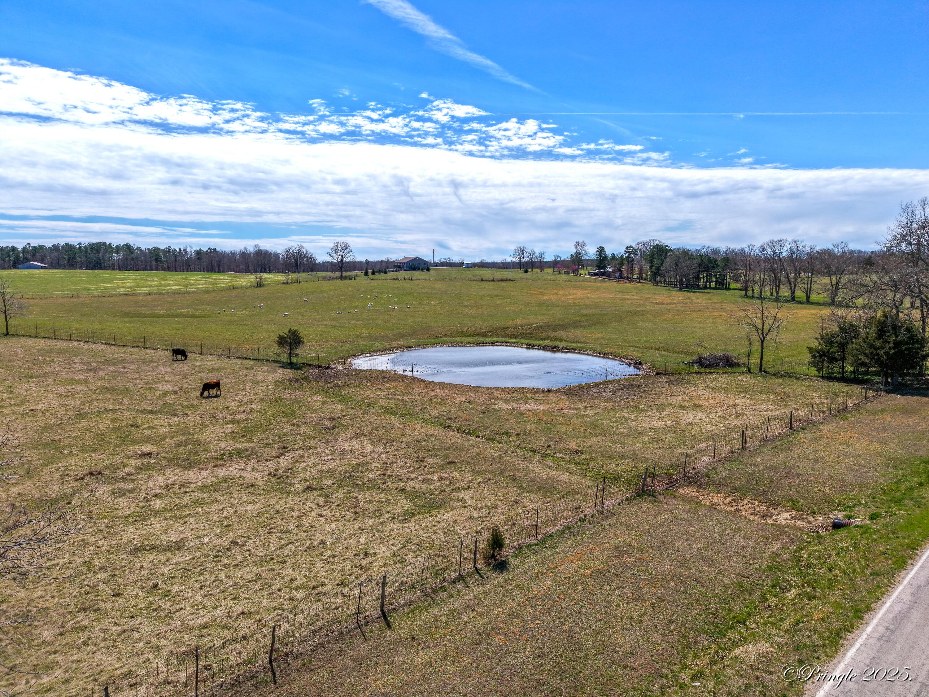 9418 State Route D Property Photo 49
