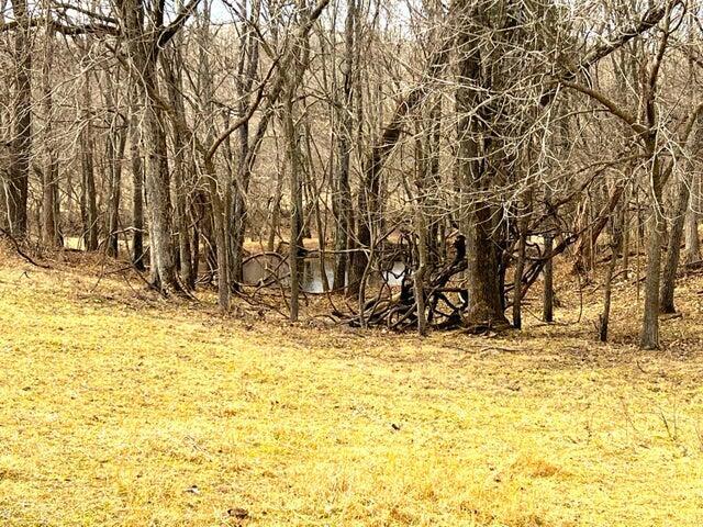62 Acres N Business 71 Property Photo 3
