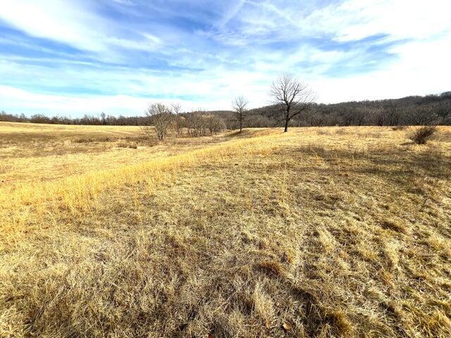 62 Acres N Business 71 Property Photo 10