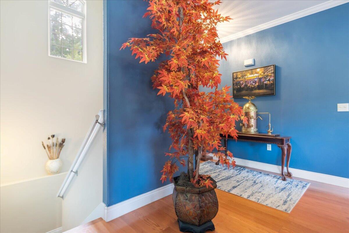 620 Jasmine Drive Property Photo 24