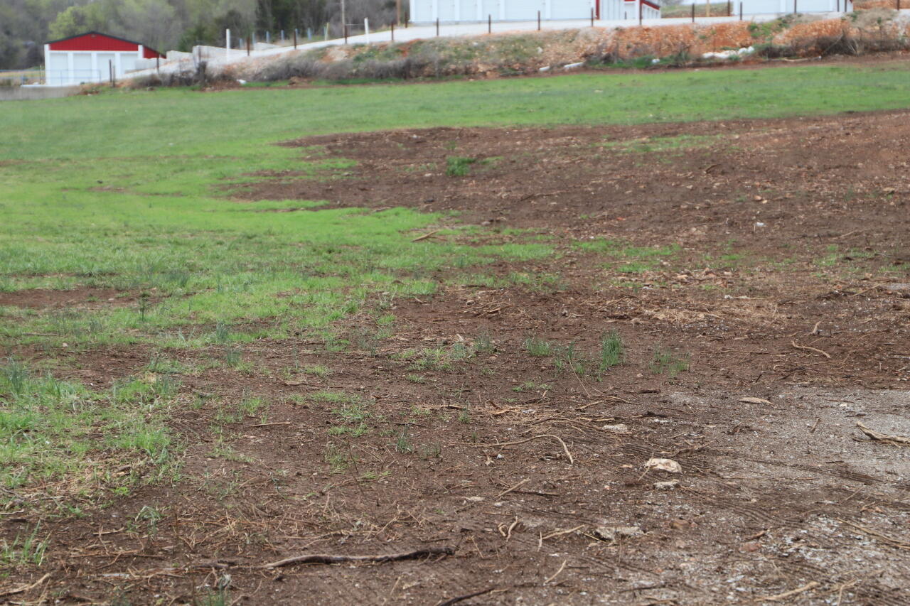 1310 Reid Road Property Photo 4