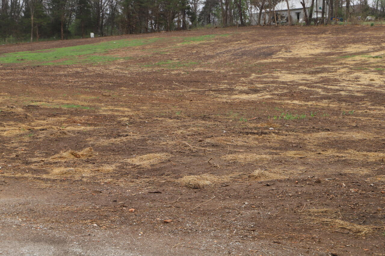 1310 Reid Road Property Photo 5