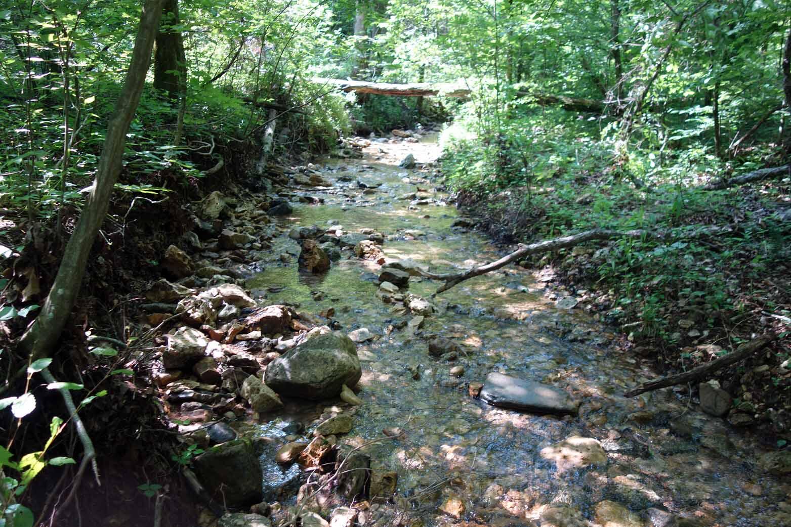 000 County Road 309 Property Photo 1