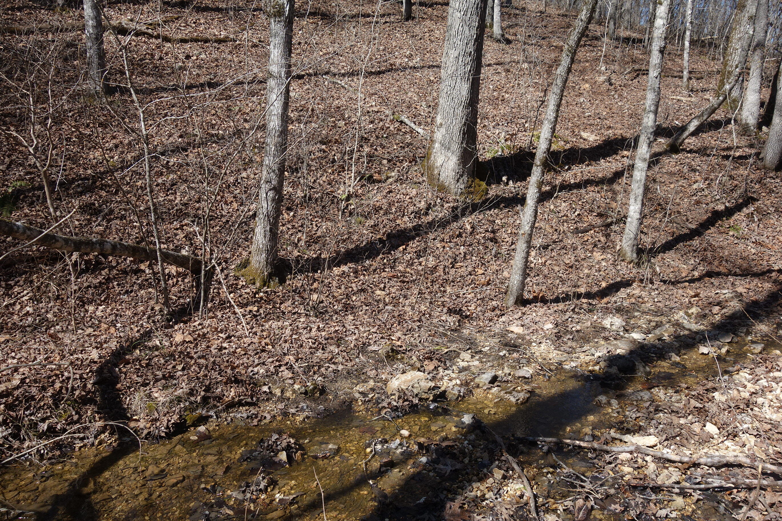 000 County Road 309 Property Photo 11