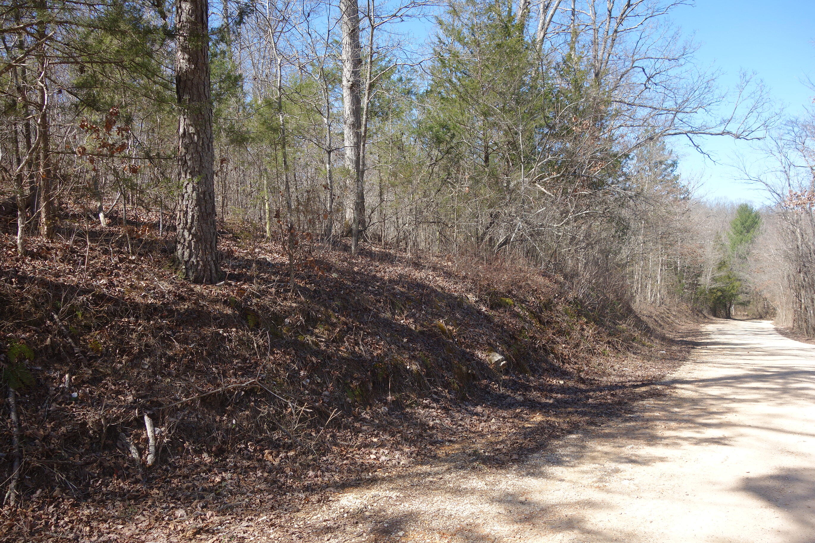 000 County Road 309 Property Photo 12