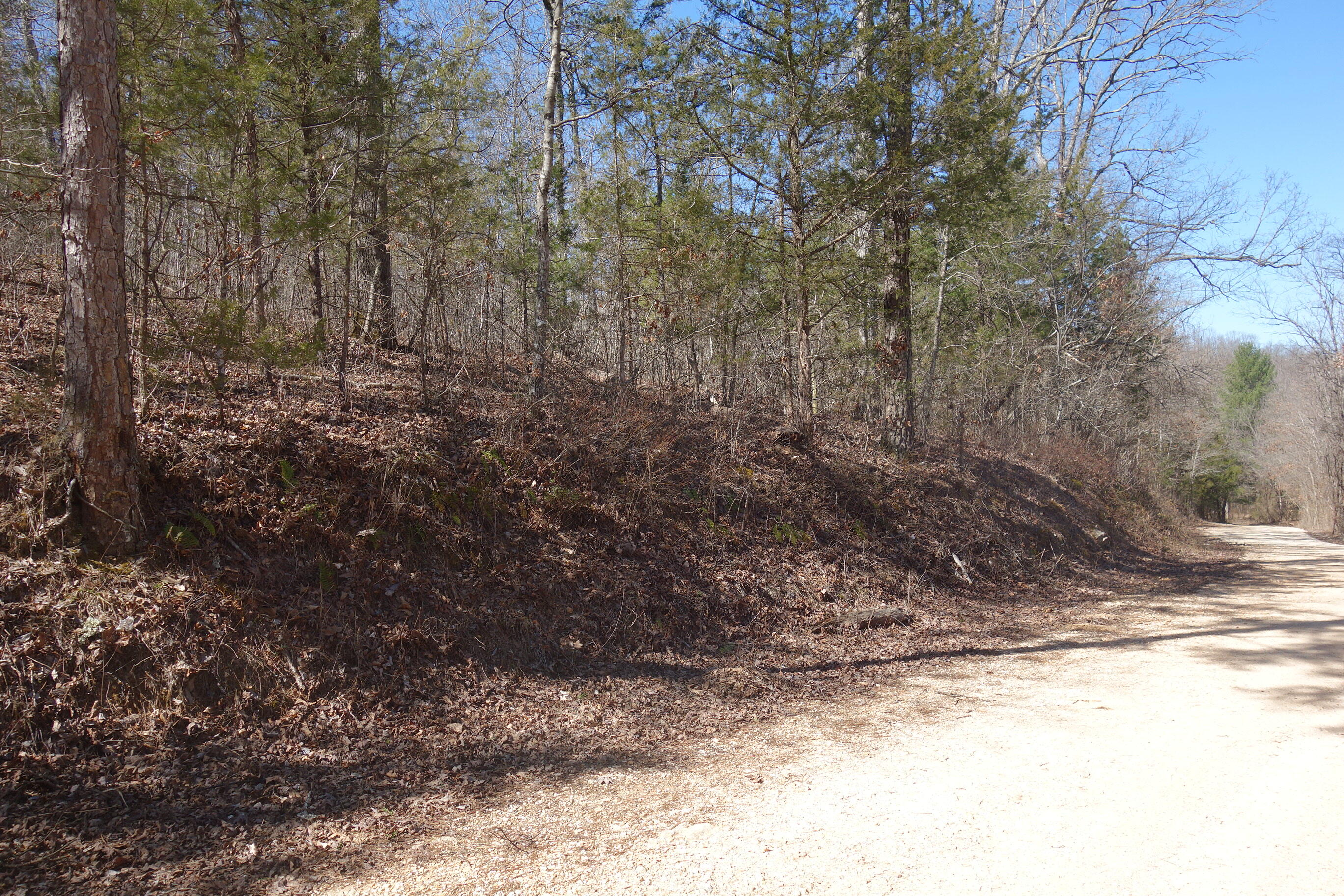 000 County Road 309 Property Photo 13