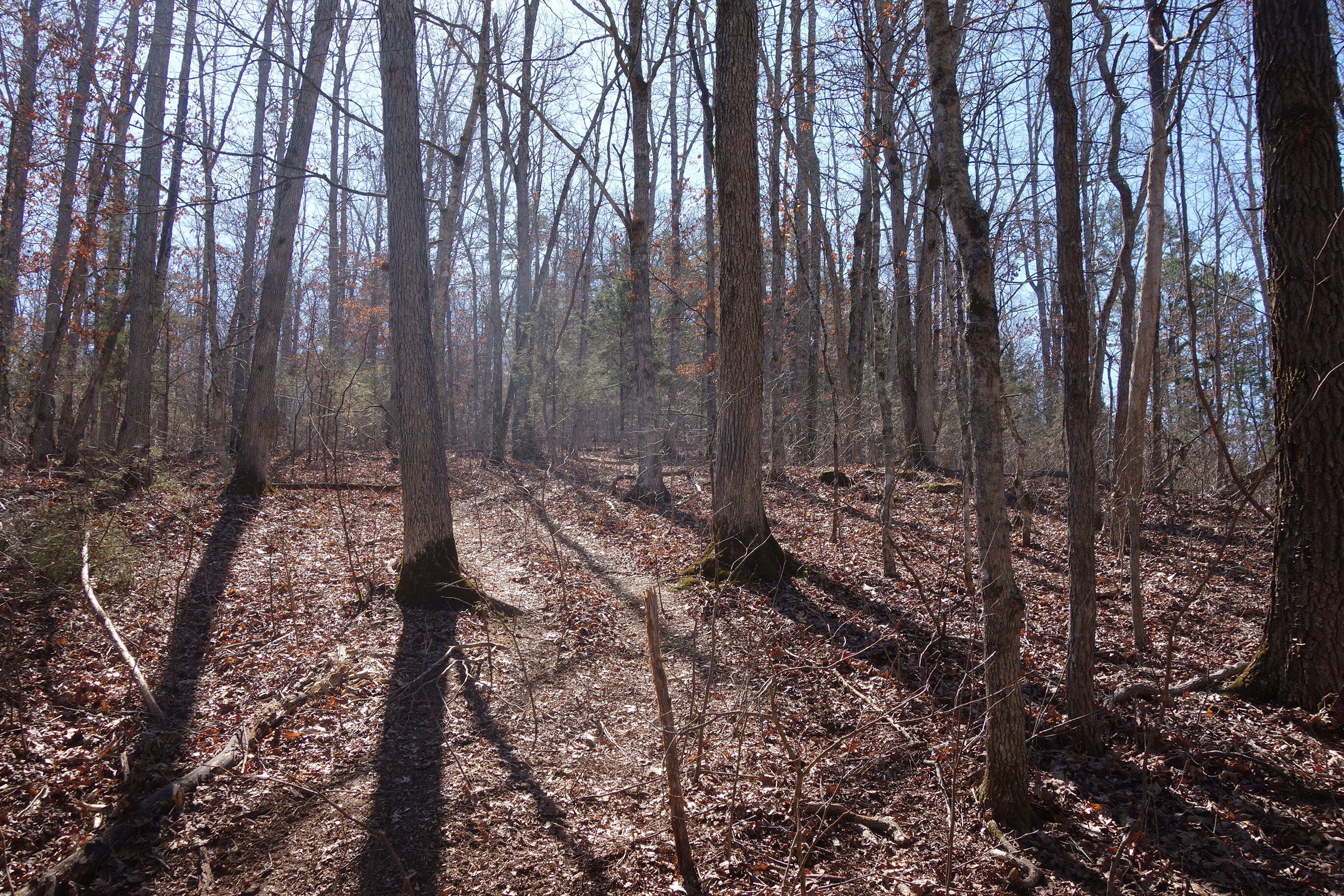 000 County Road 309 Property Photo 15