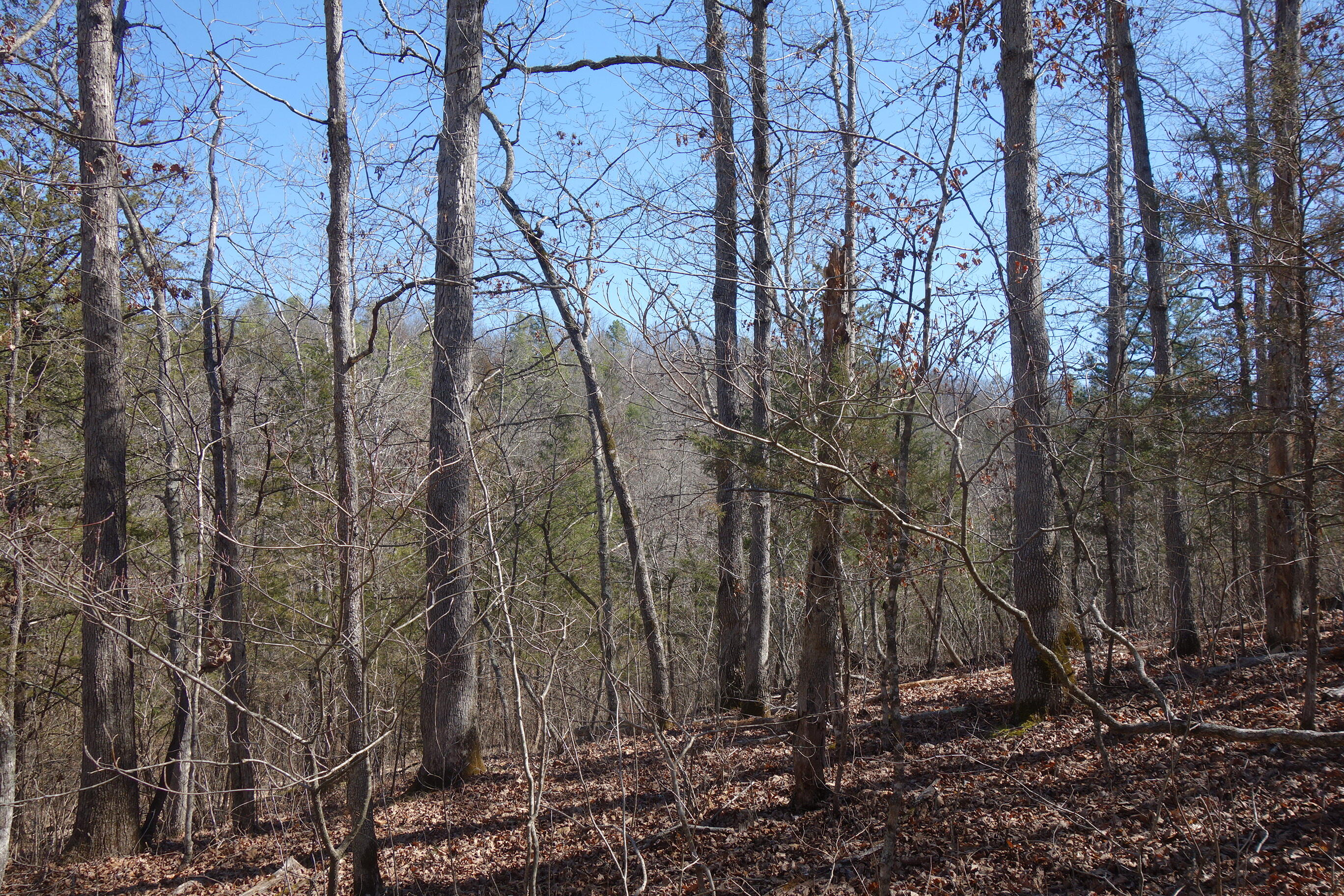 000 County Road 309 Property Photo 16