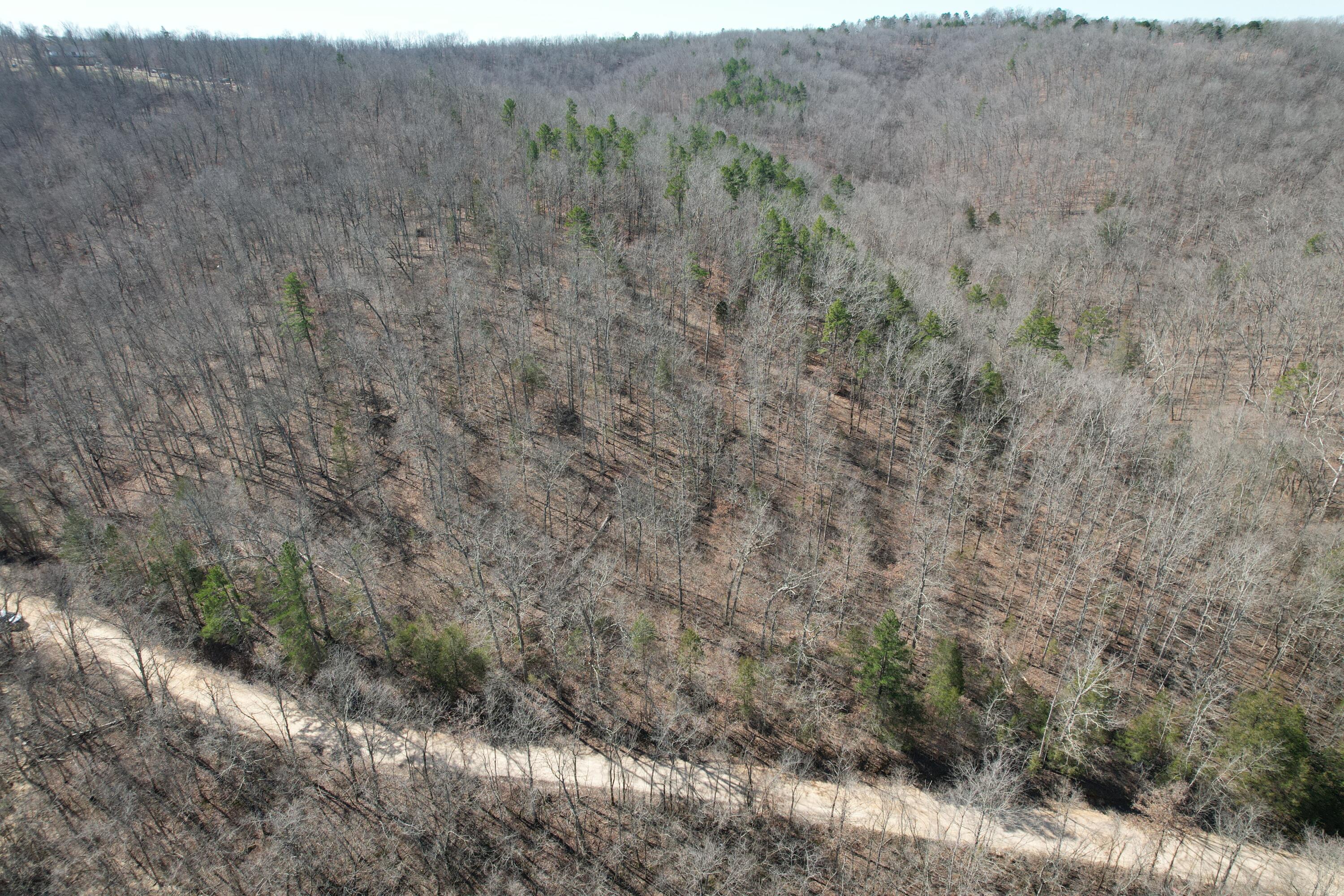 000 County Road 309 Property Photo 20