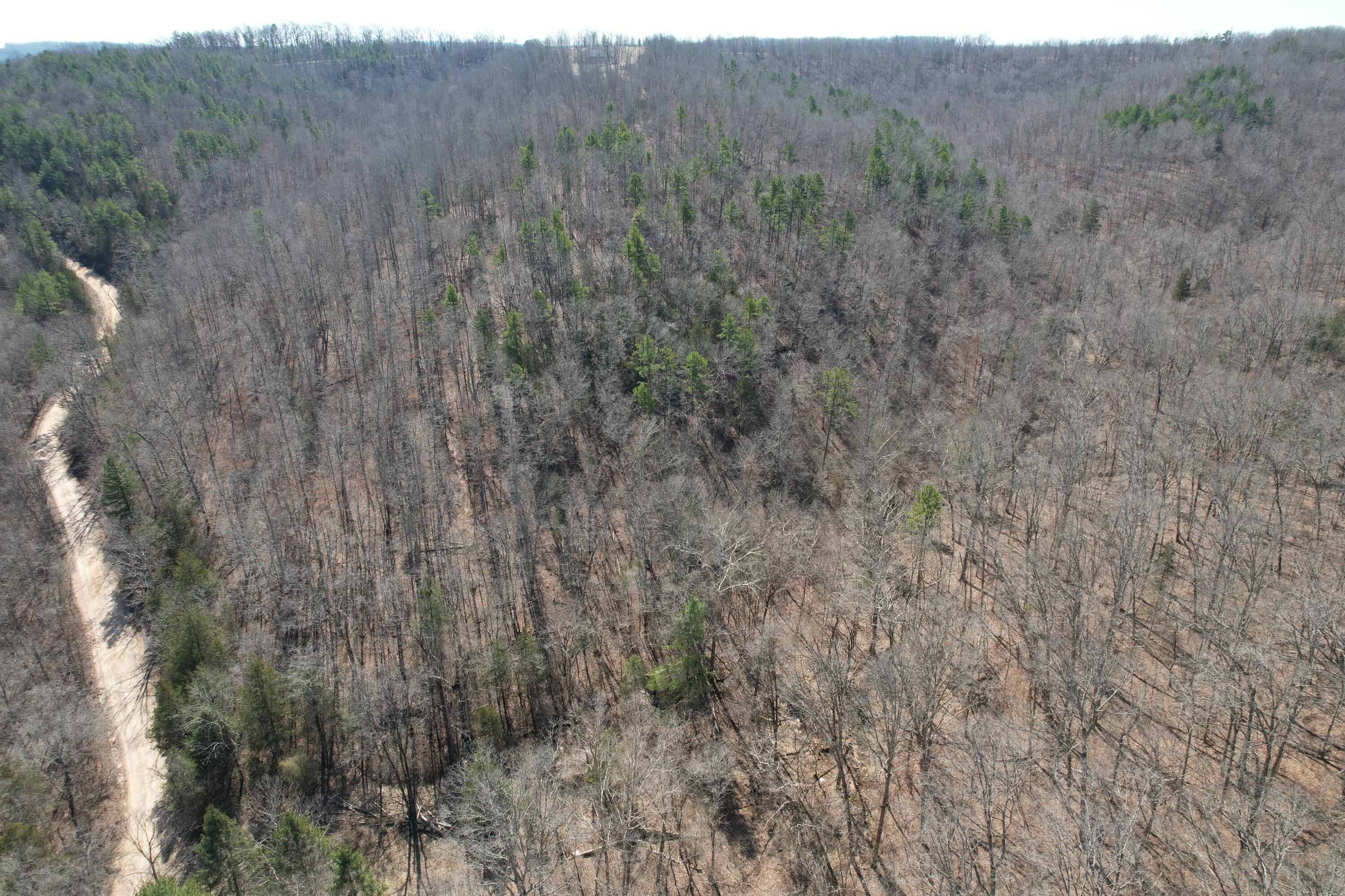000 County Road 309 Property Photo 21