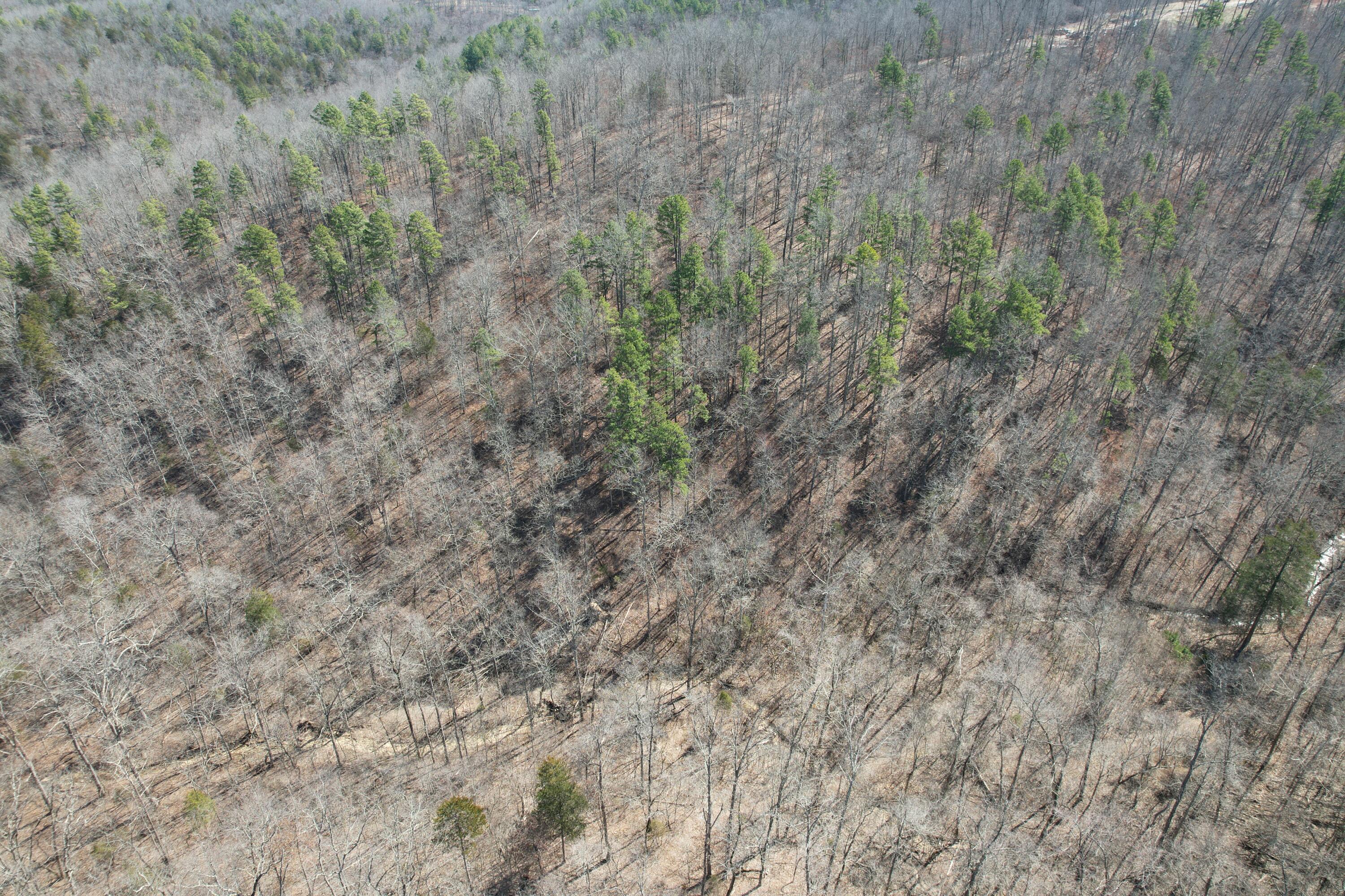 000 County Road 309 Property Photo 26